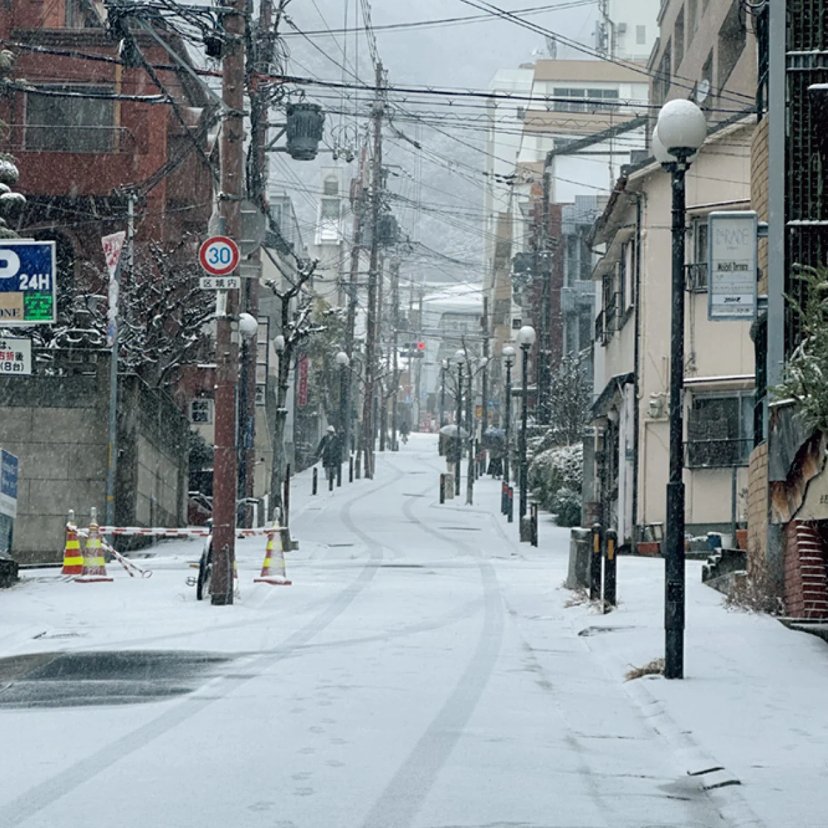 マリウス葉さんのスナップ