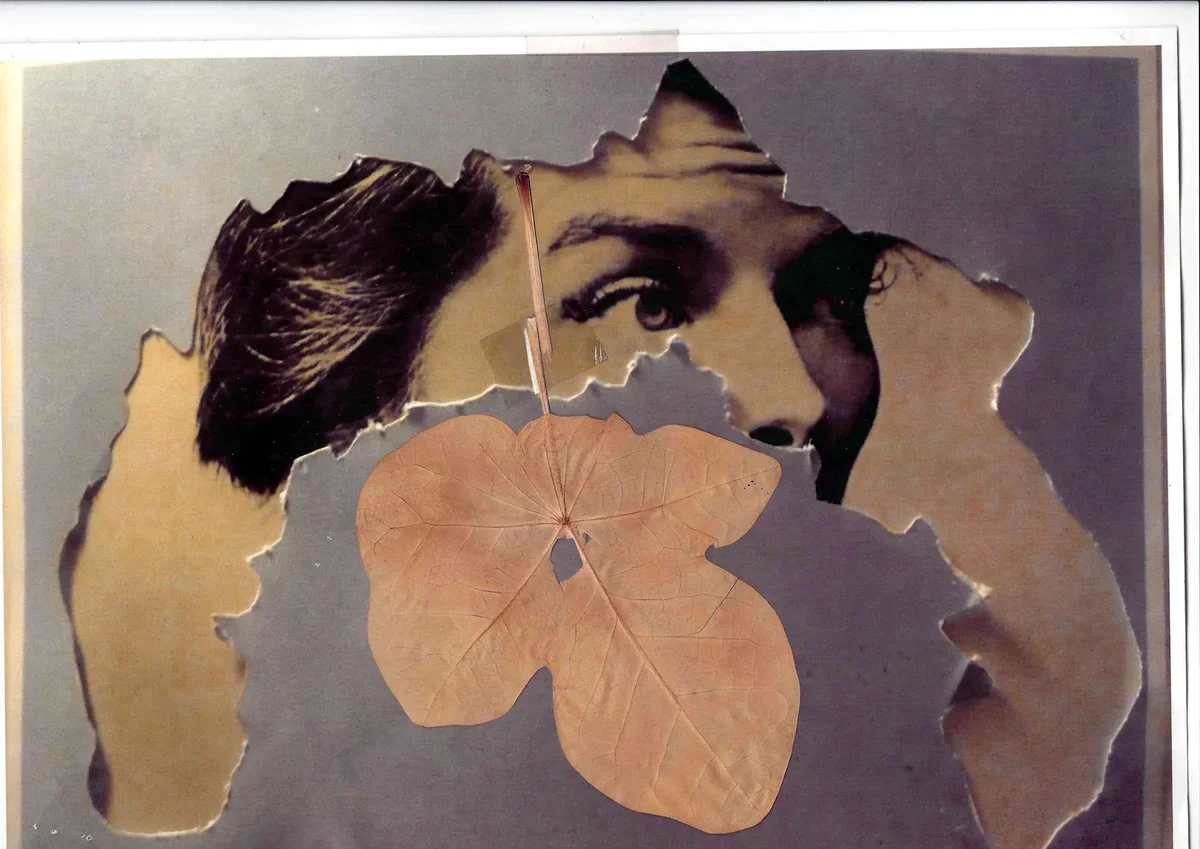 ２つの展覧会、「アントワープ６」と「ヘルの画像_9