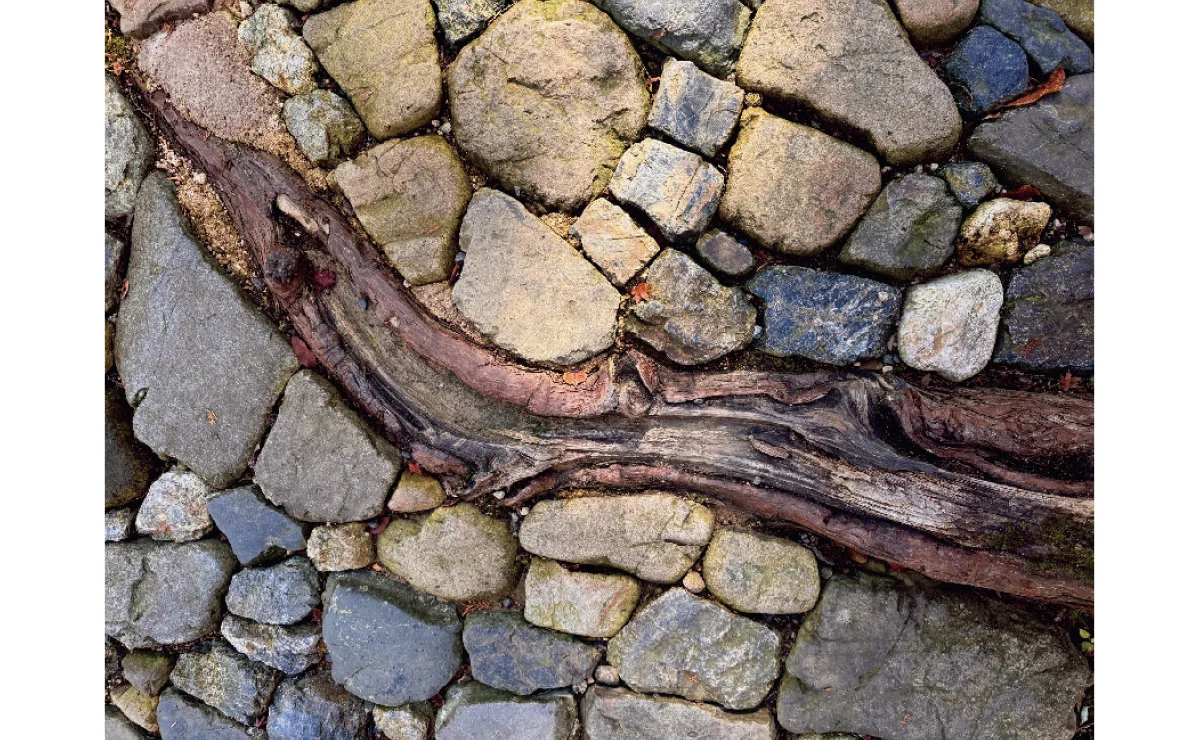 マリウス葉　ギャラリー