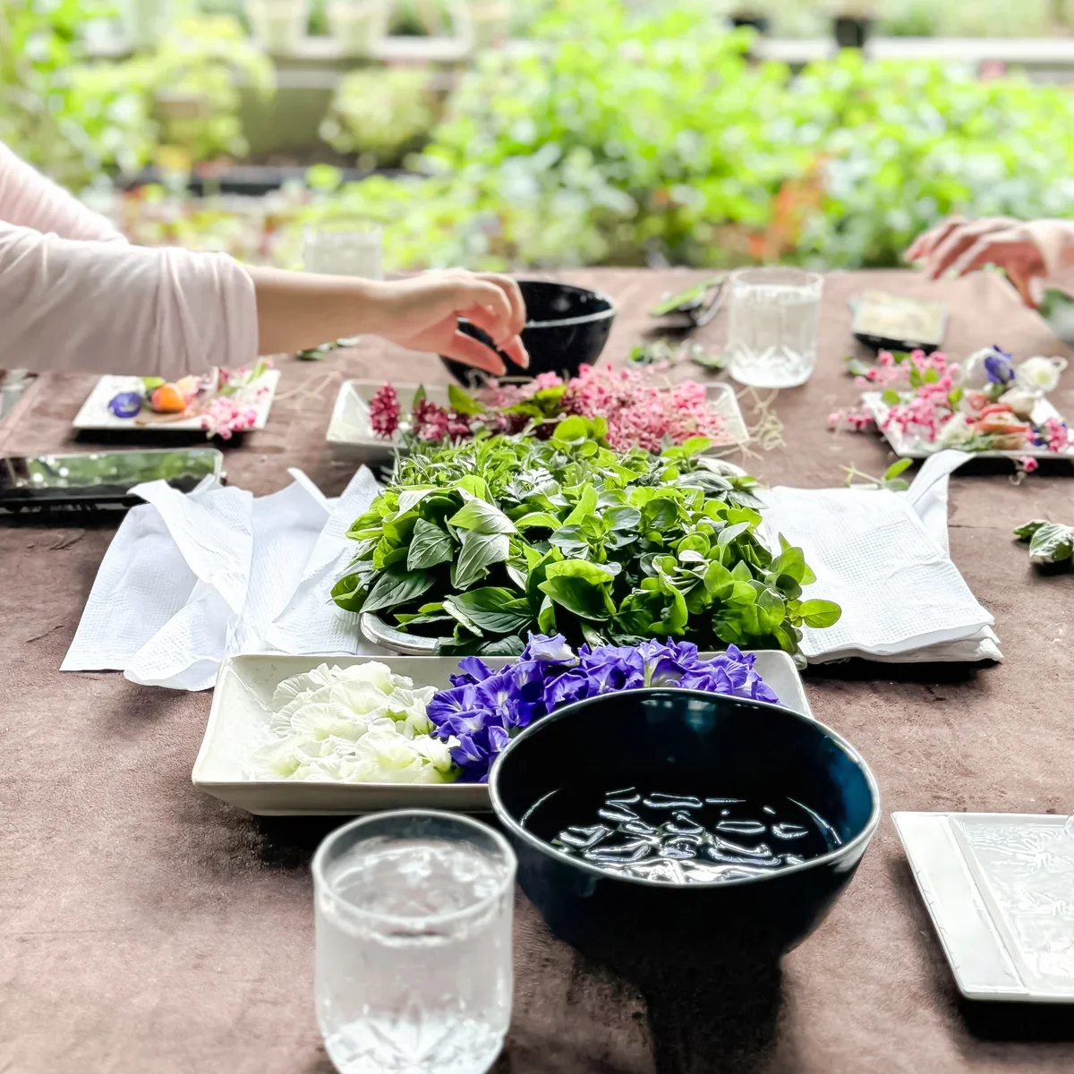 敬意を持って予習し、まつりや文化に深く飛の画像_3