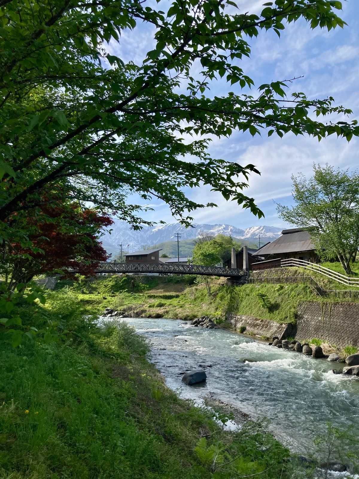 大出公園 姫川に架かる大出の吊り橋