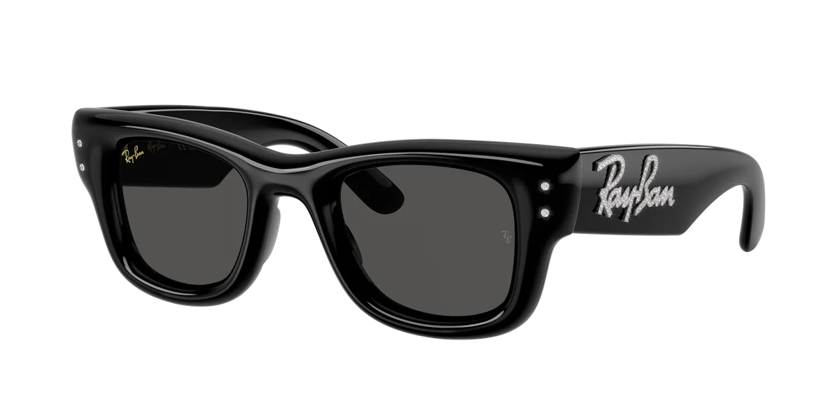 レイバン　エイサップ・ロッキー　ウェイファーラー パファー