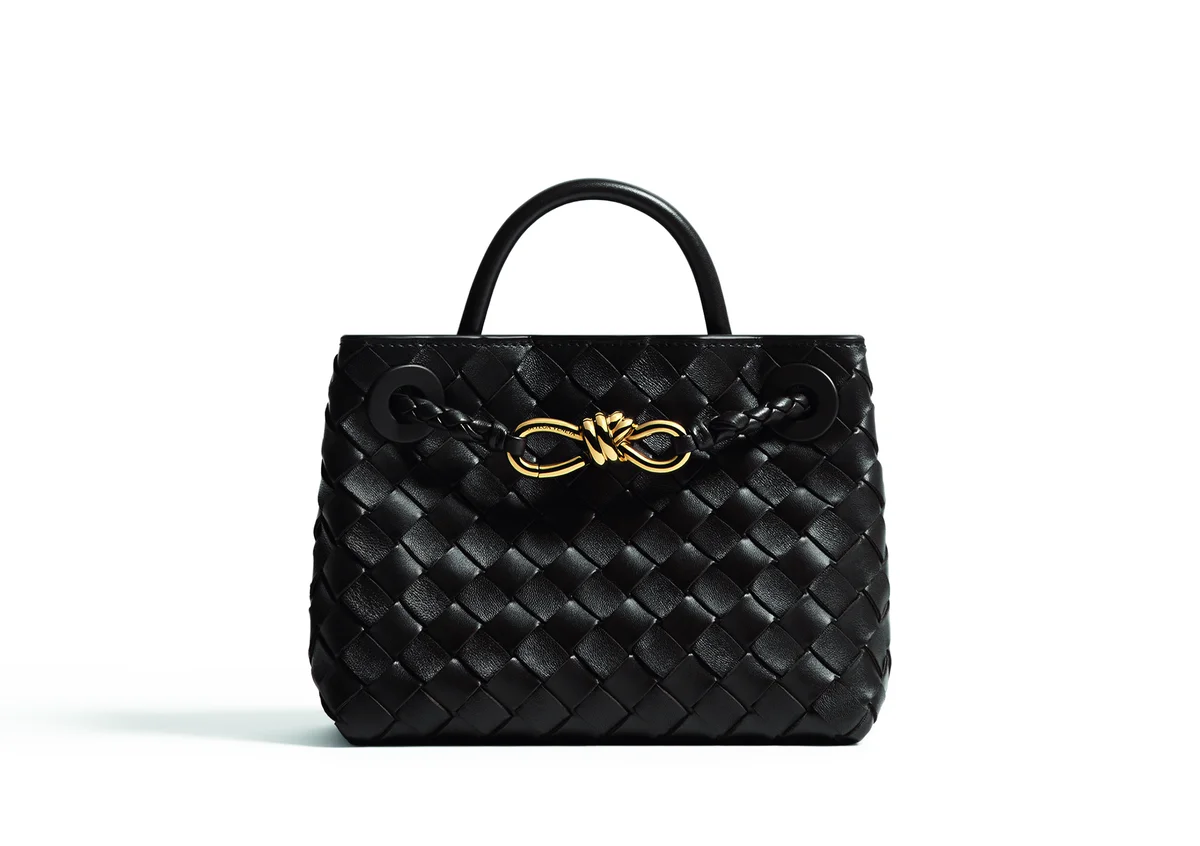 ボッテガ・ヴェネタのバッグ「アンディアーモ」のミニサイズ