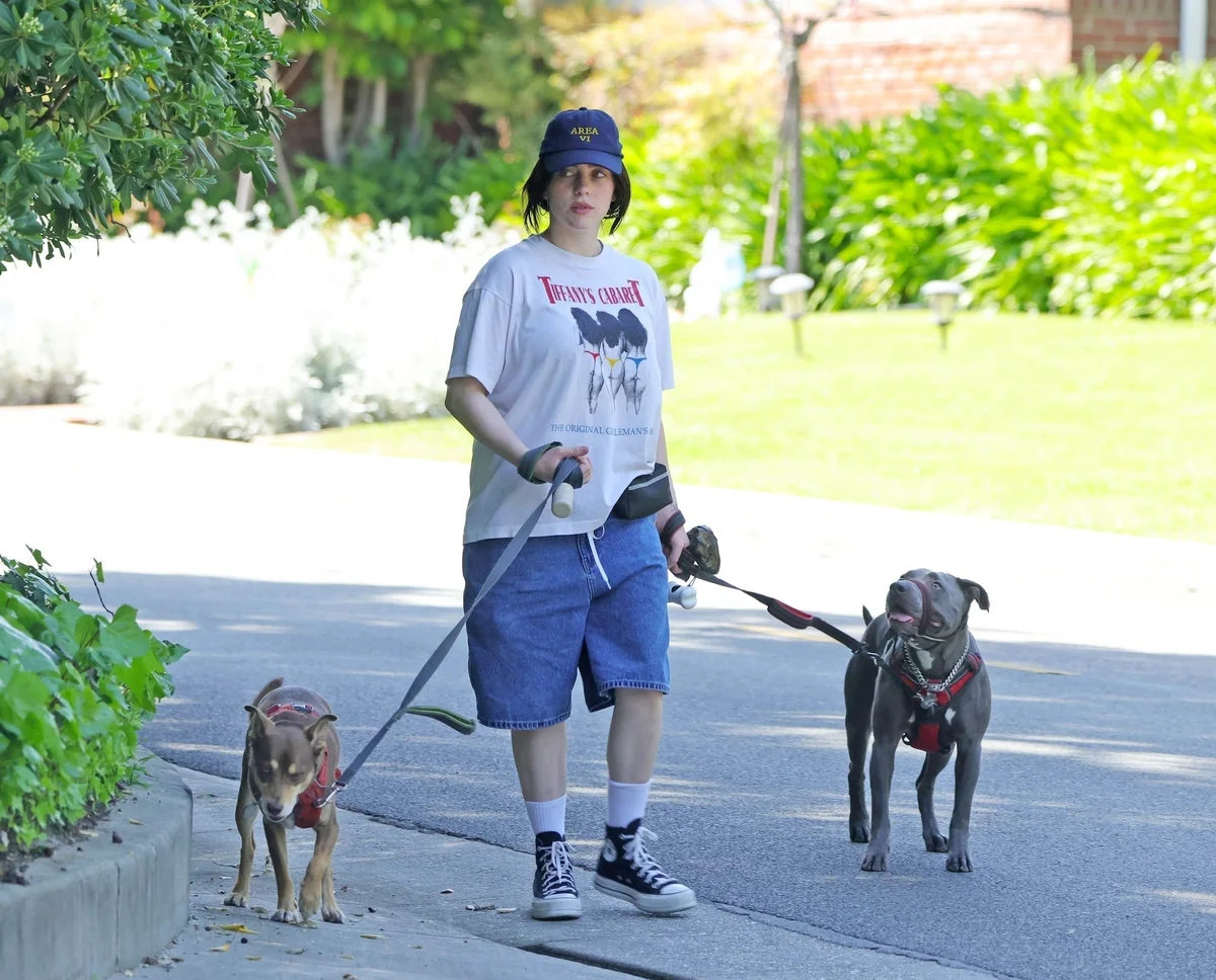 ビリー・アイリッシュ シャーク 愛犬 散歩 カジュアル
