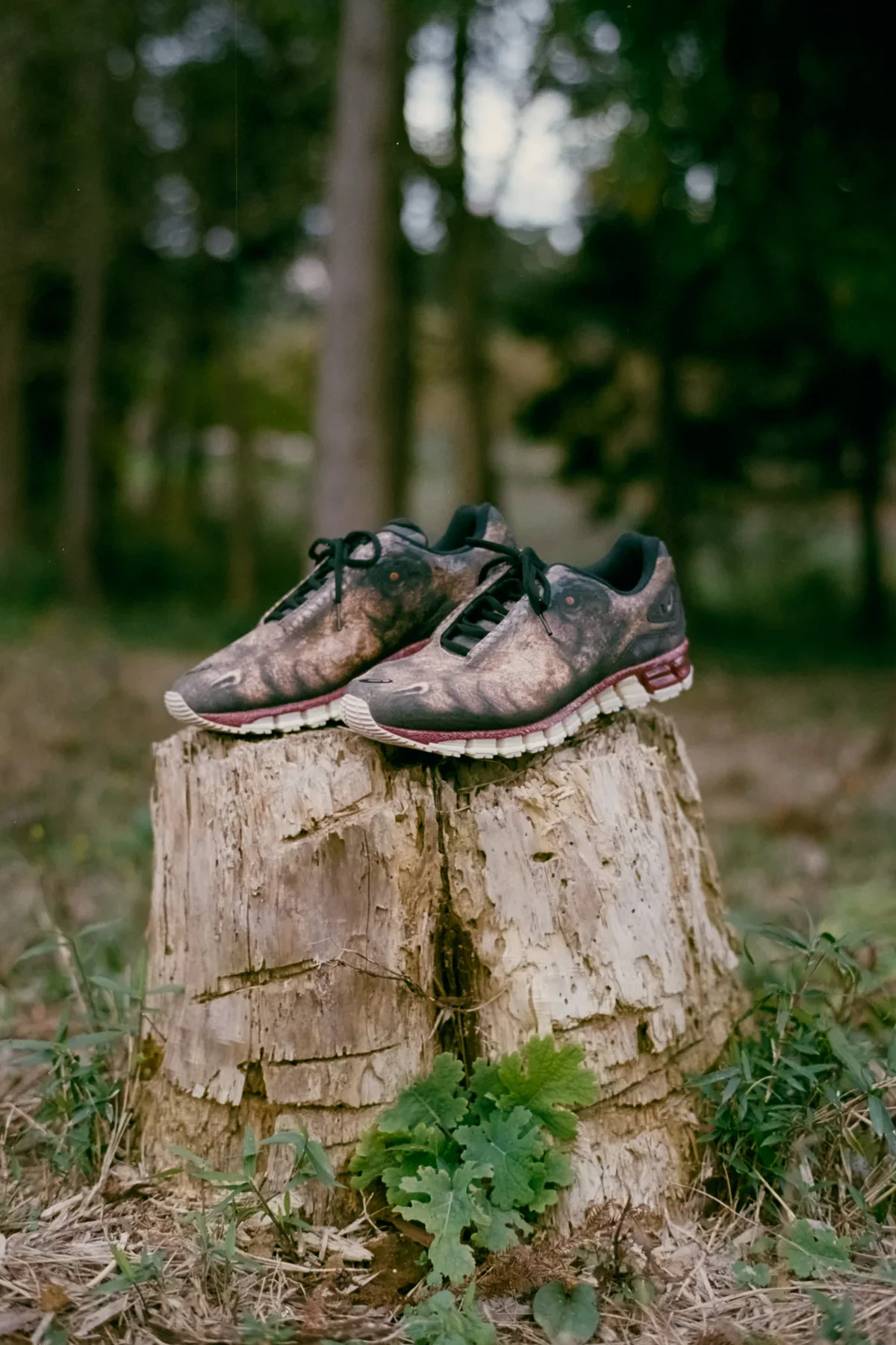 GEL-QUANTUM 360 Ⅰ AMPの画像