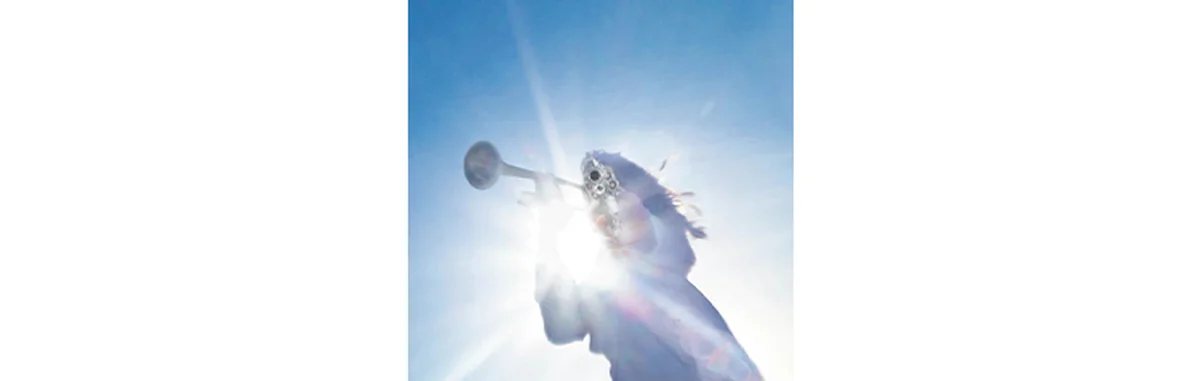 『Getting Killed』Geese