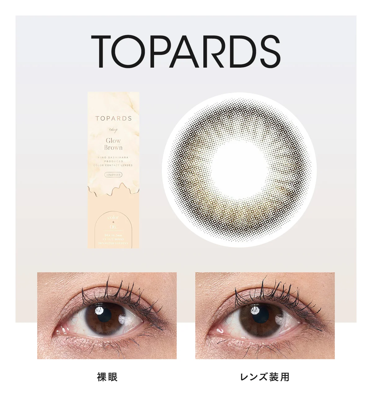 TOPARDS グローブラウンの切り抜き＆着用写真