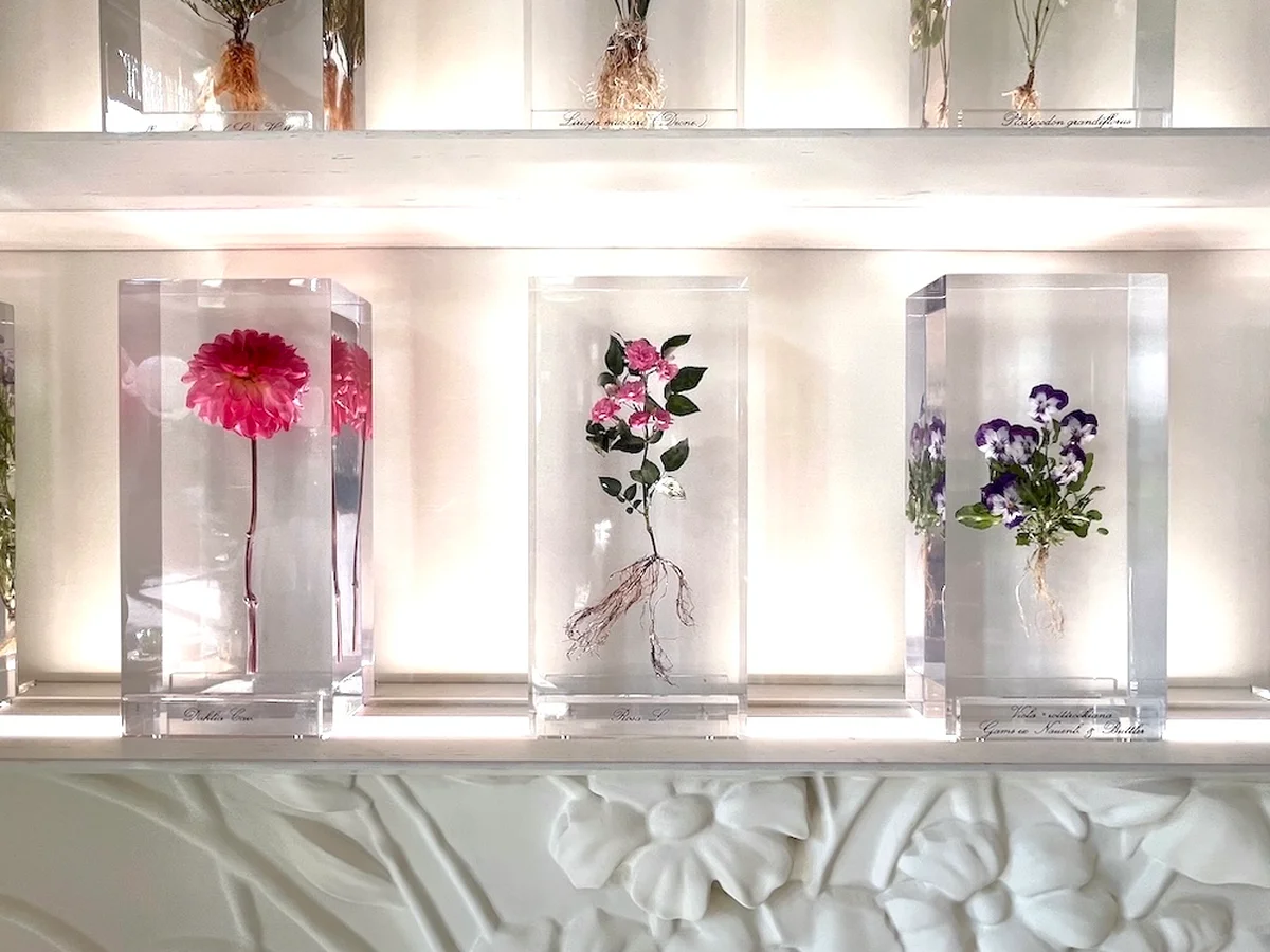 【ディオール】の新拠点に日本の要素を取りの画像_4