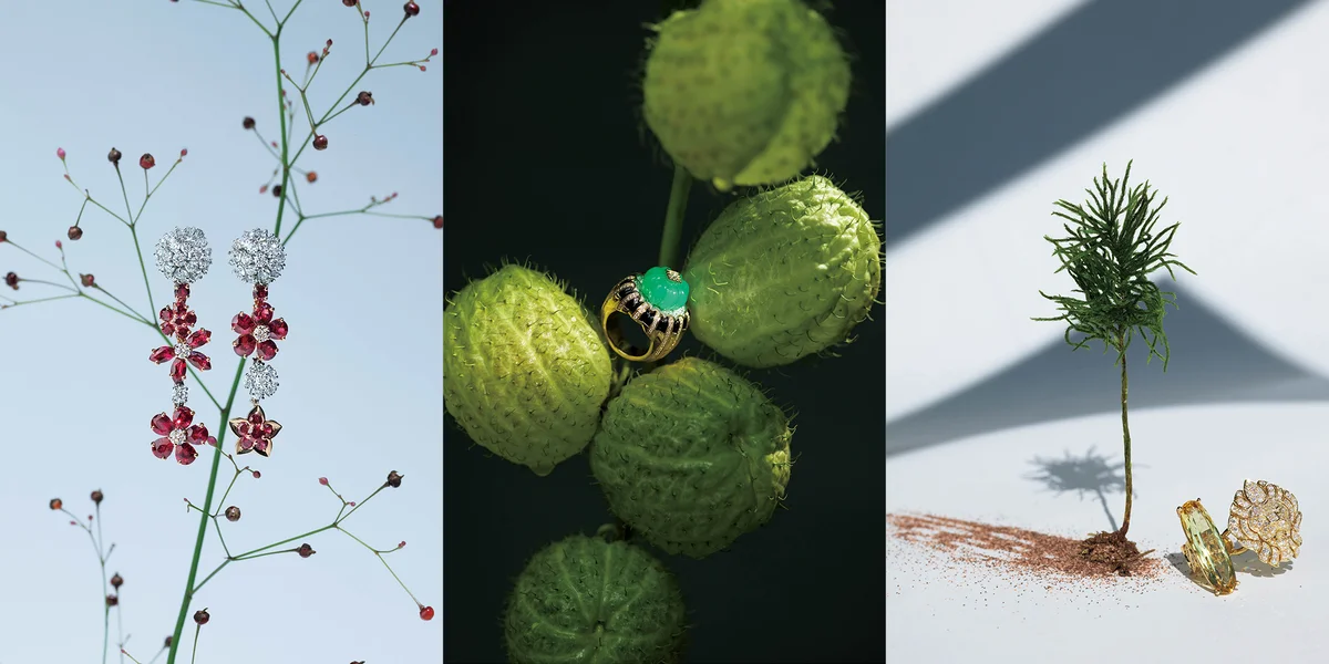 【カルティエ】【ヴァン クリーフ＆アーペのタイトルイメージ