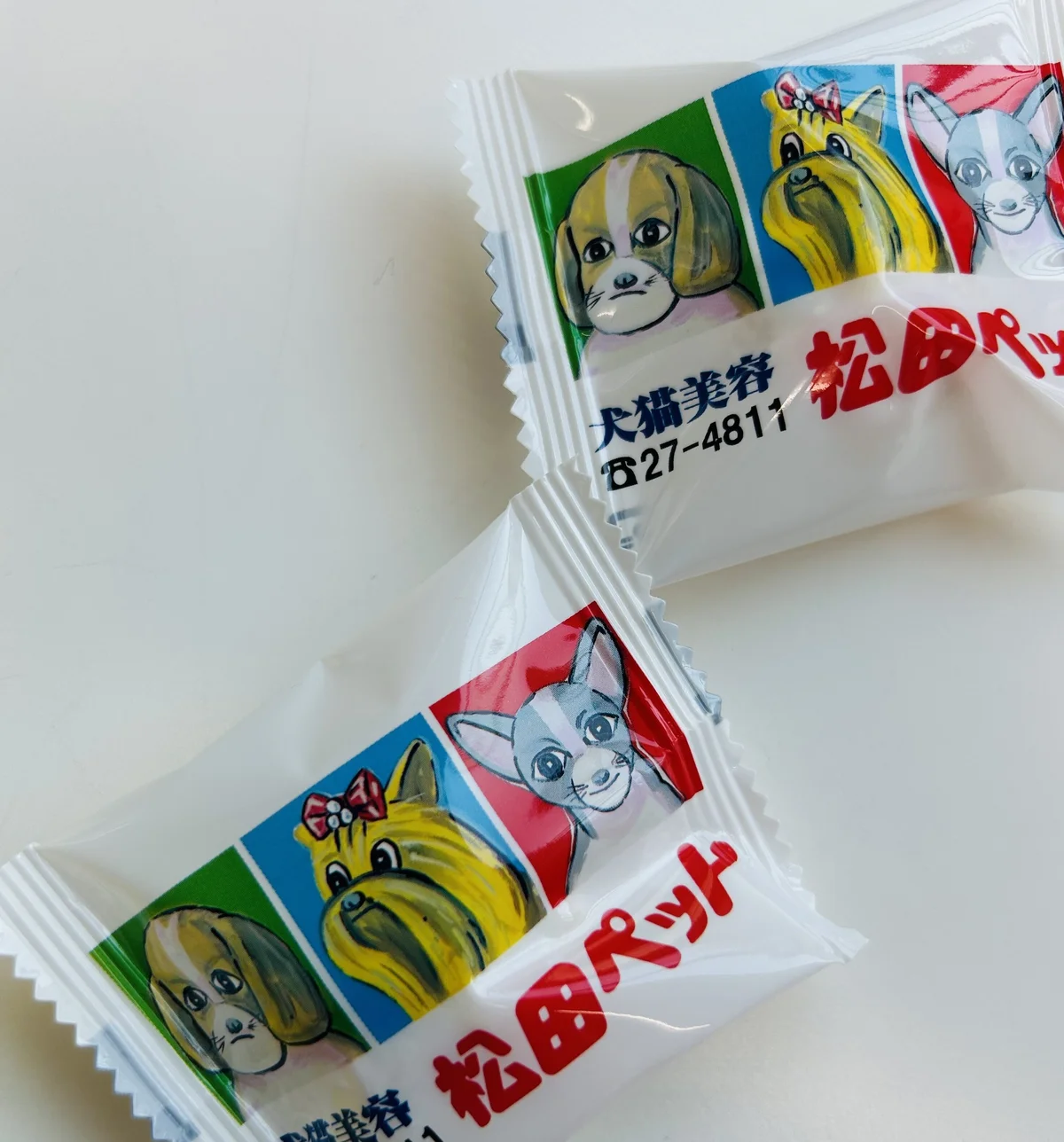 松田ペット　クッキー　新潟　CoCoLo越後湯沢