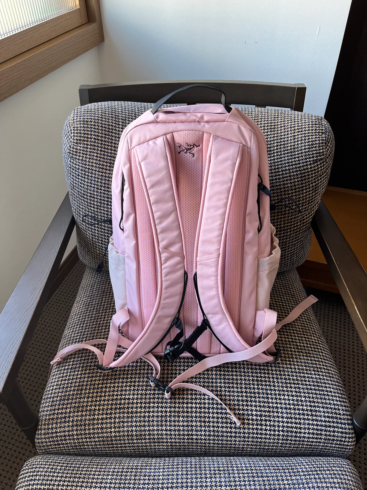 アークテリクス マンティス 26 バックパック 背面画像