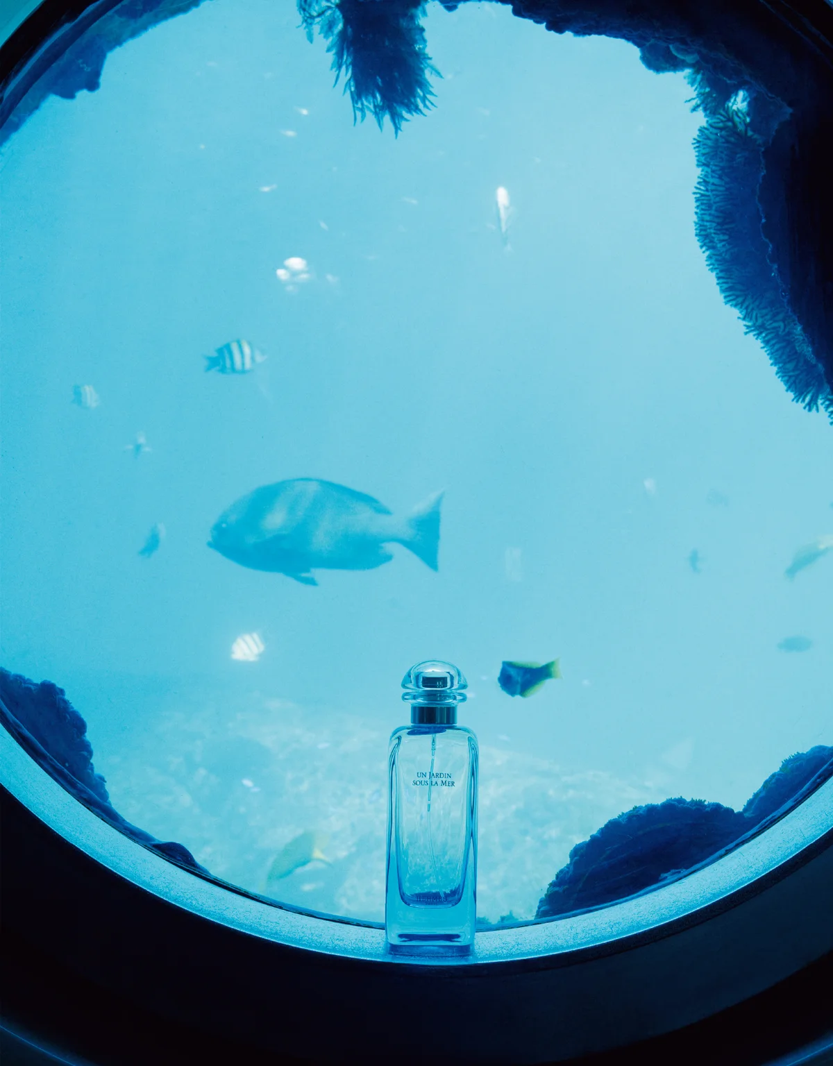 エルメスの香水