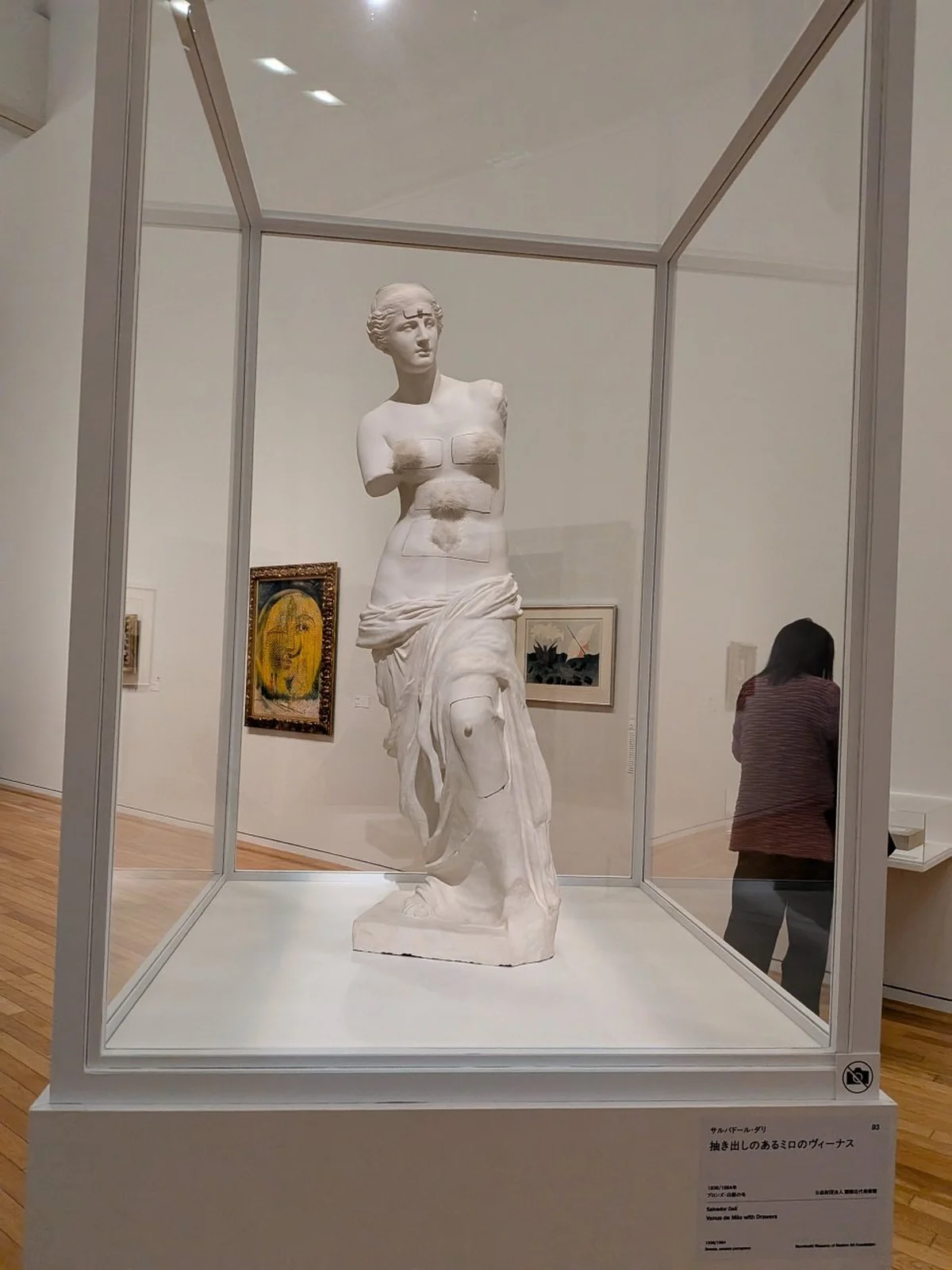 シュルレアリスムの奇妙な毒に魅せられる「の画像_10