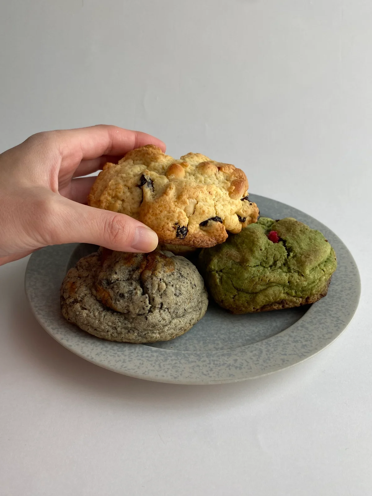 WA BAKEのクッキーを手で持ち、サイズの大きさを見せているカット