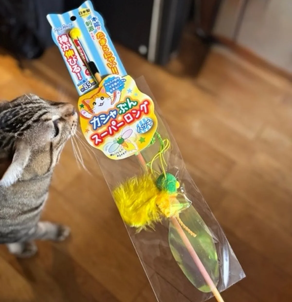 かしゃぶんスーパーロング　ハッチのパッケージと猫