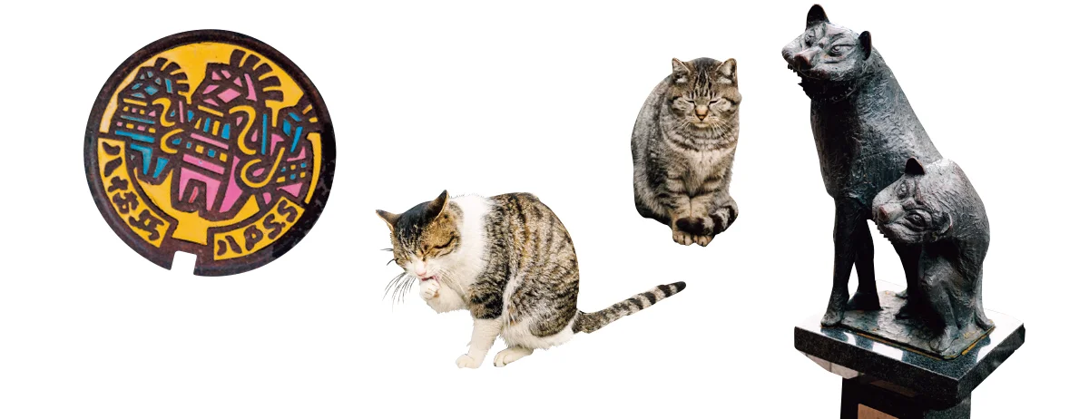 八戸のマンホール、猫