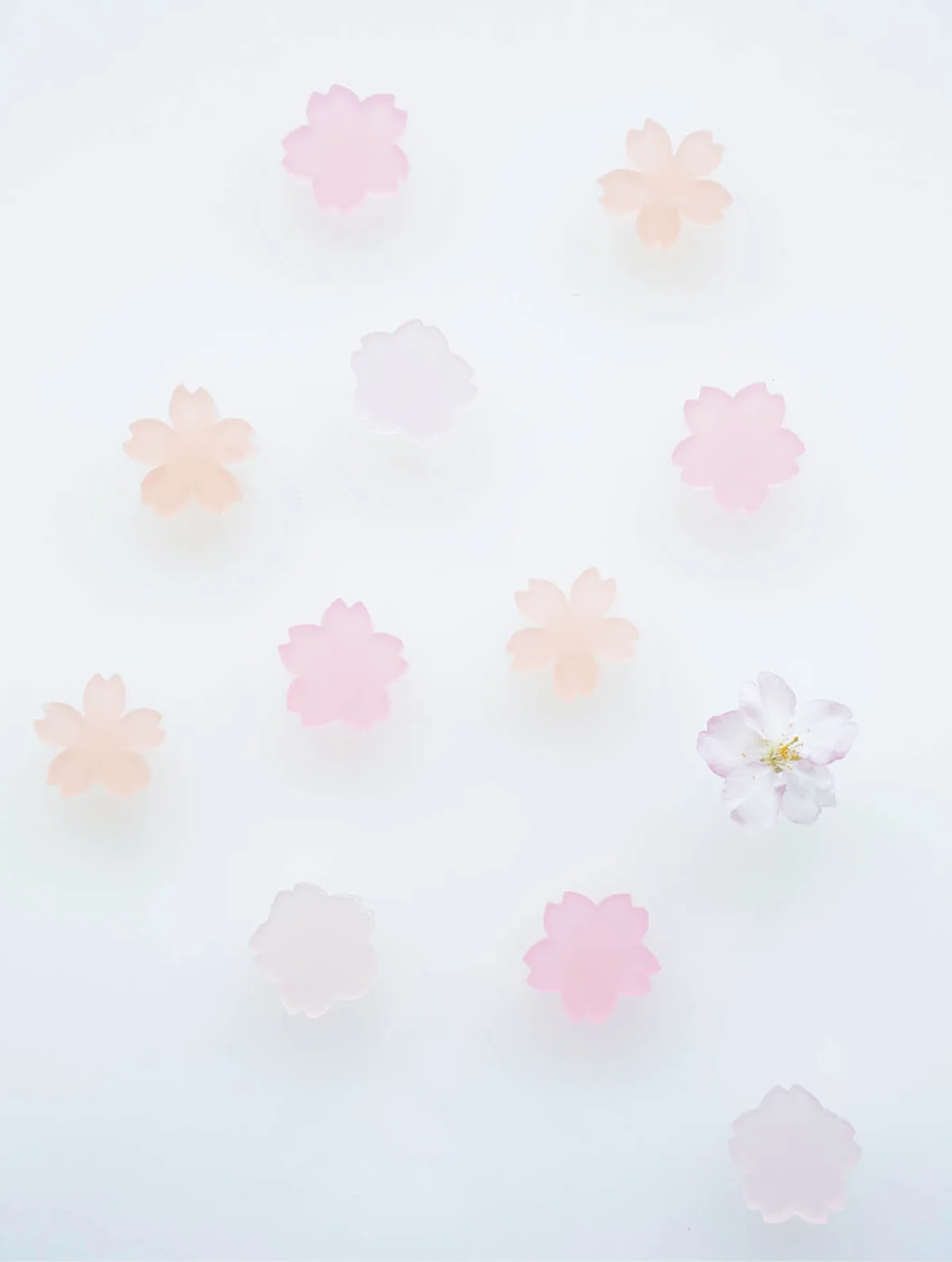 鶴屋𠮷信の桜 琥珀糖