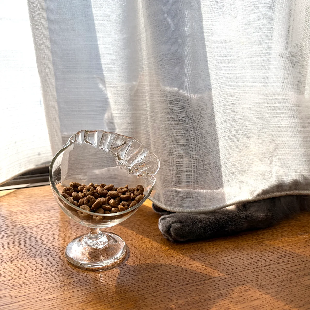 小牧広平さんのステムグラスと猫の画像