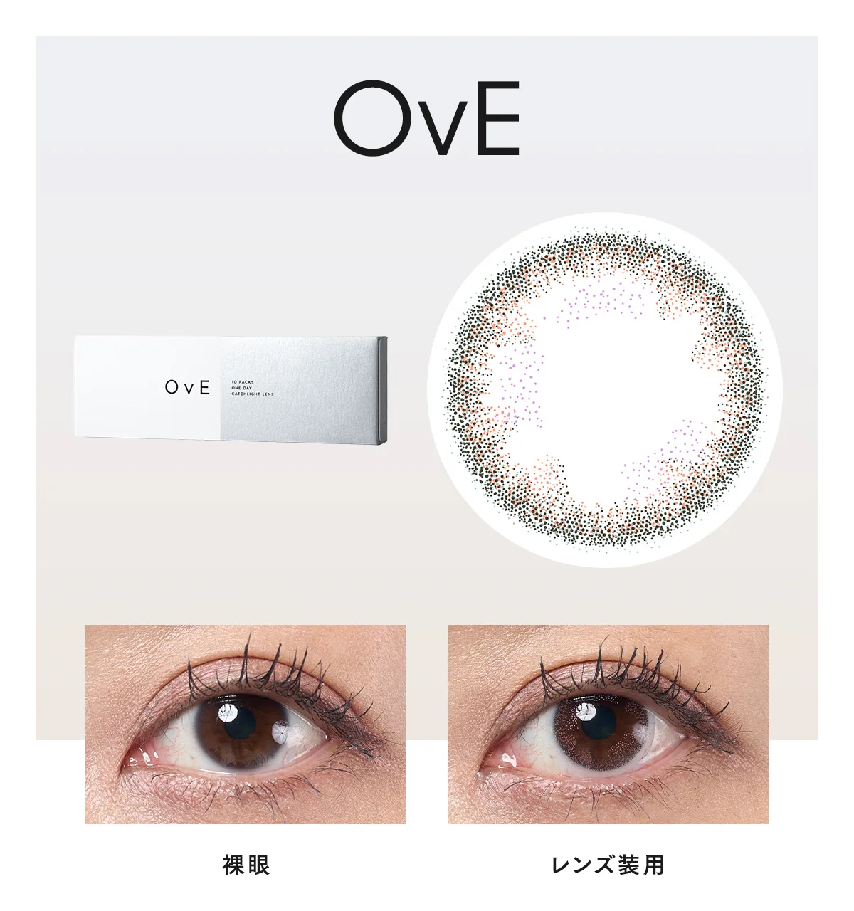 キャッチライトレンズ OvE 8の切り抜きと着用画像