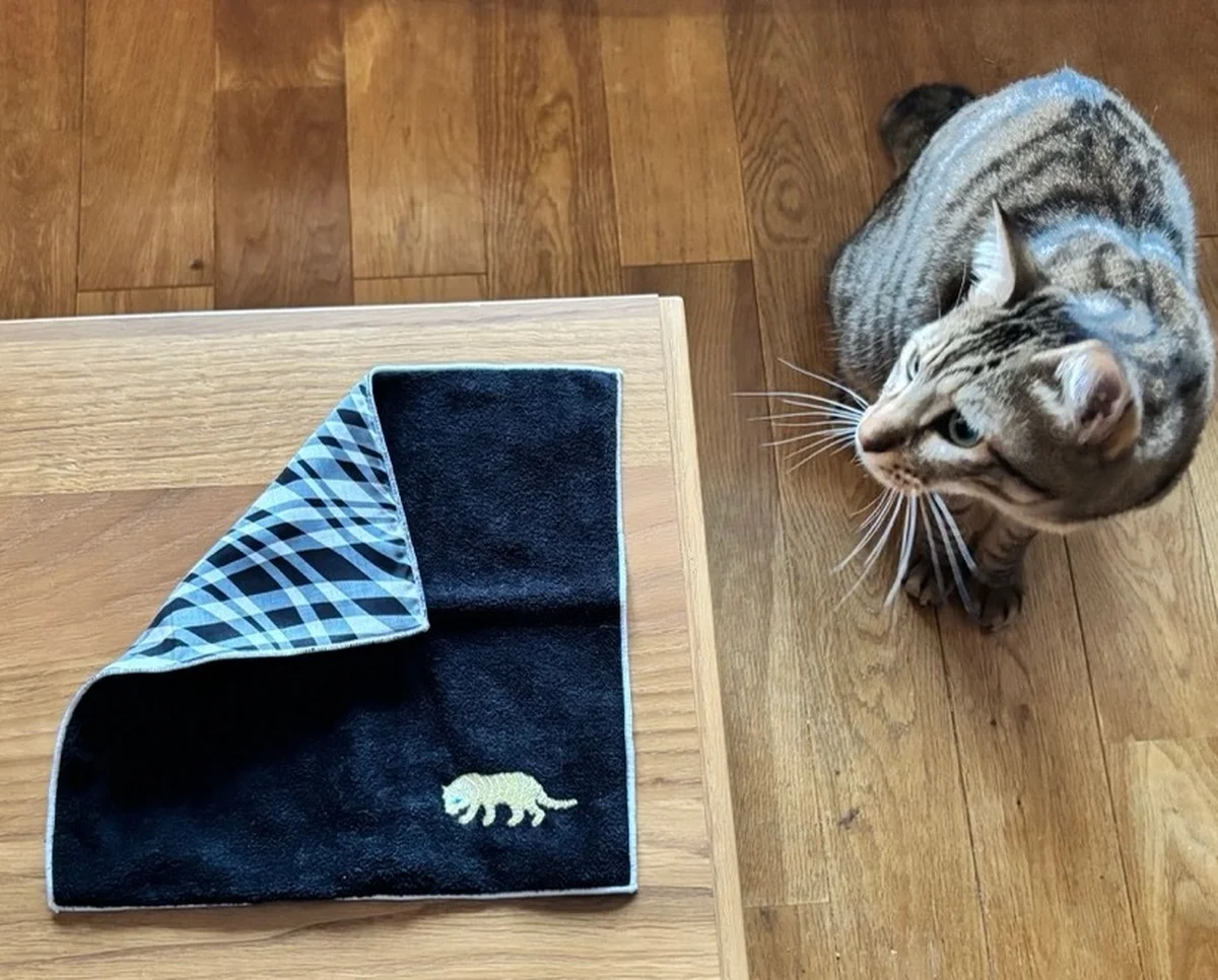 ハンカチ　ミニタオル　刺繍　ひびのこづえ　寅　干支シリーズ　猫　裏地