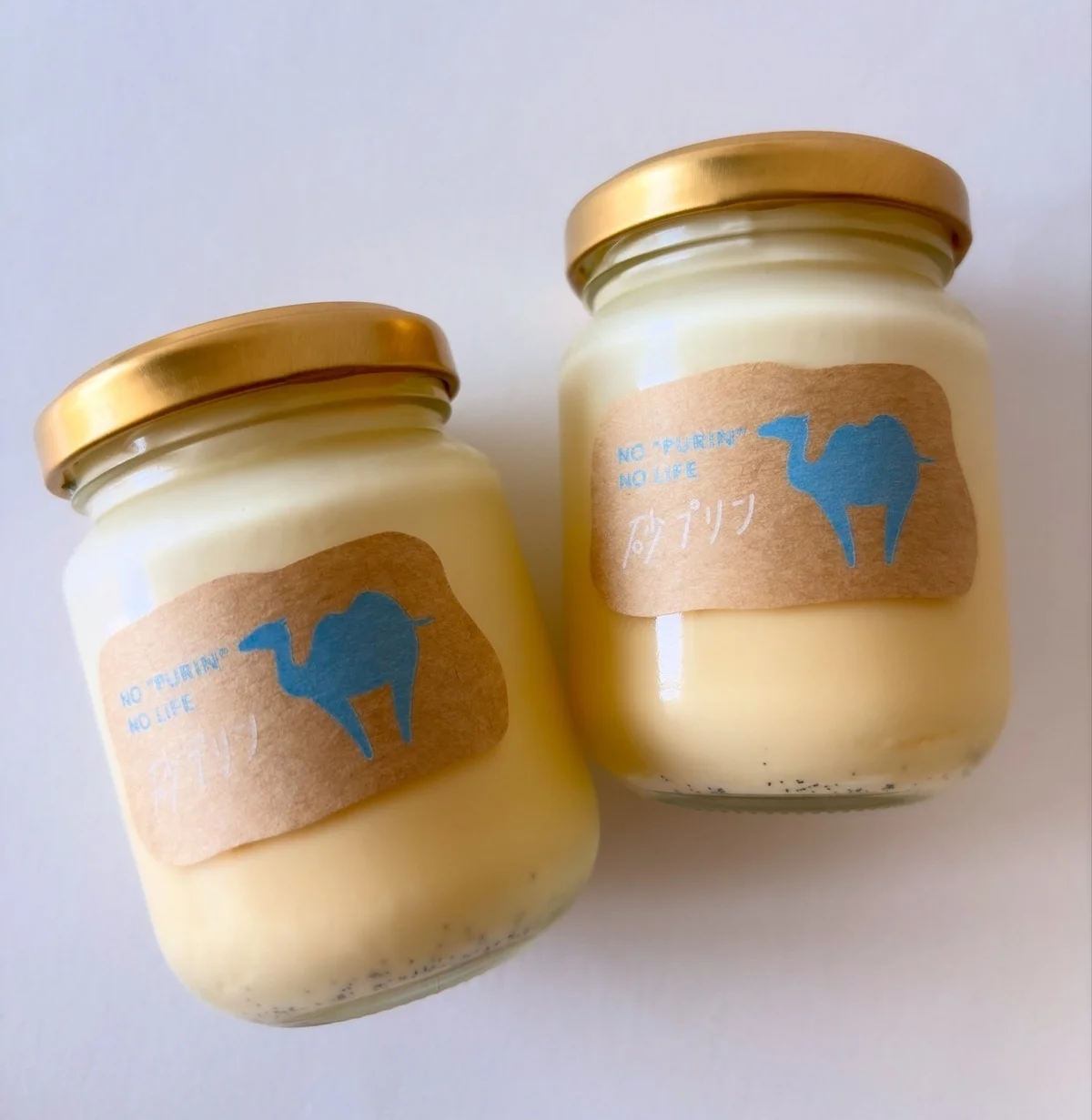 瓶入り、鳥取の砂プリン。底には砂、みたいなバニラビーンズが