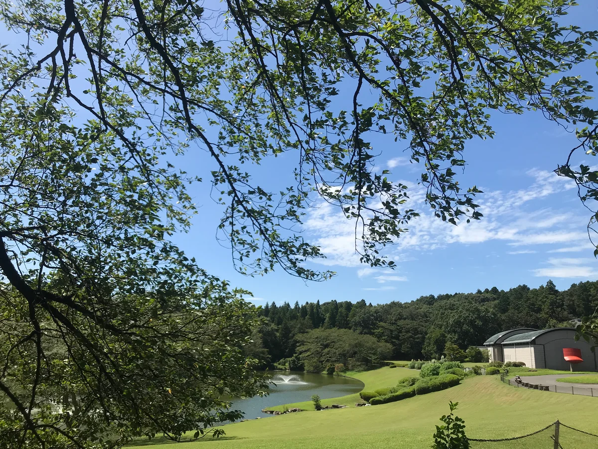 DIC川村記念美術館　庭園