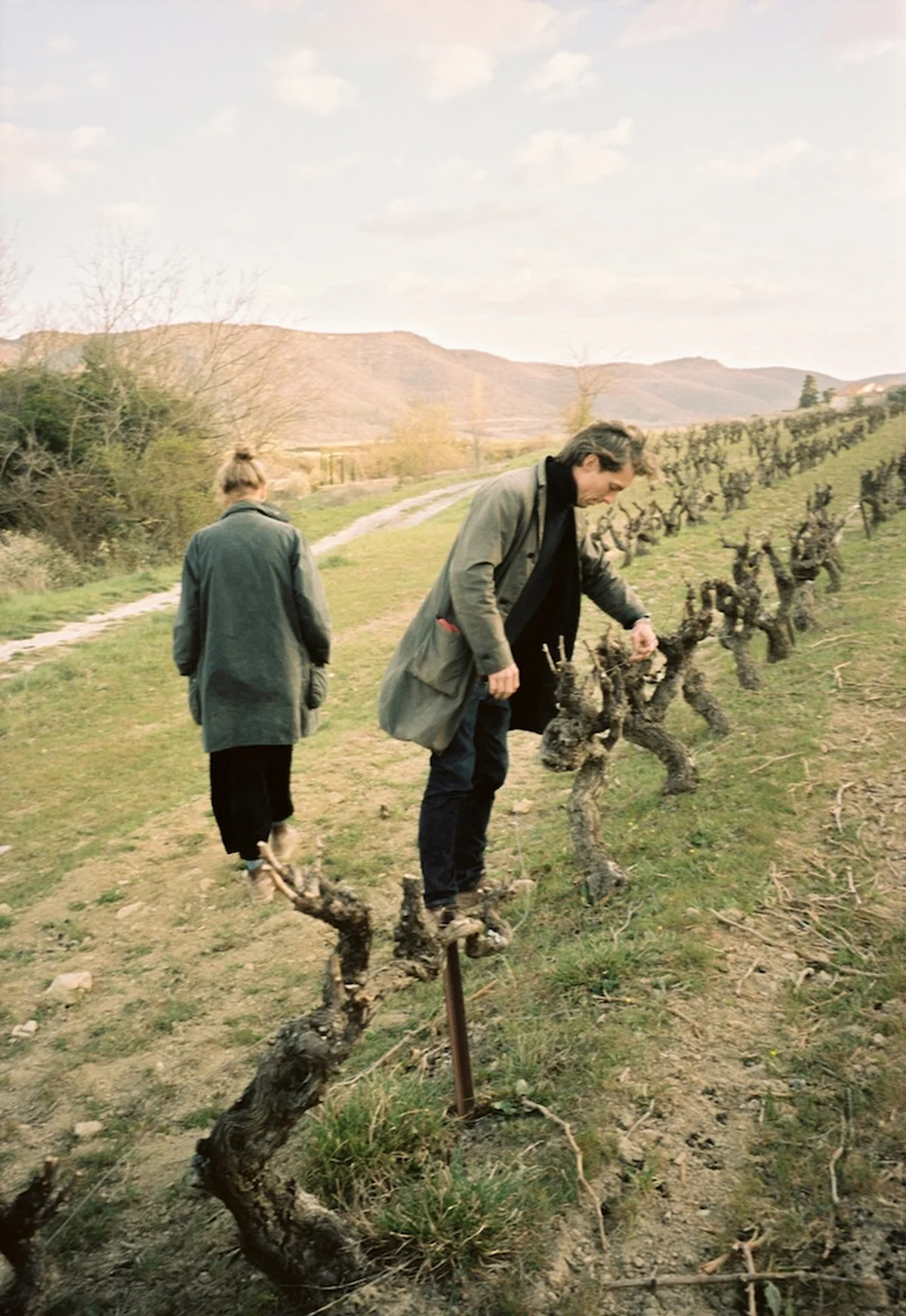 「Noma」の元ソムリエ、アンダース・フの画像_1