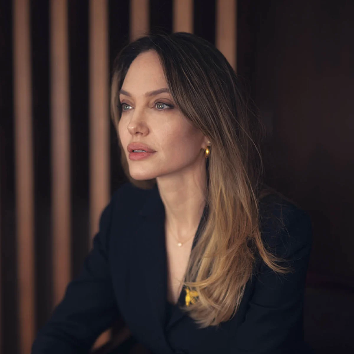 Angelina Jolie / アンジェリーナ・ジョリープロフィール画像