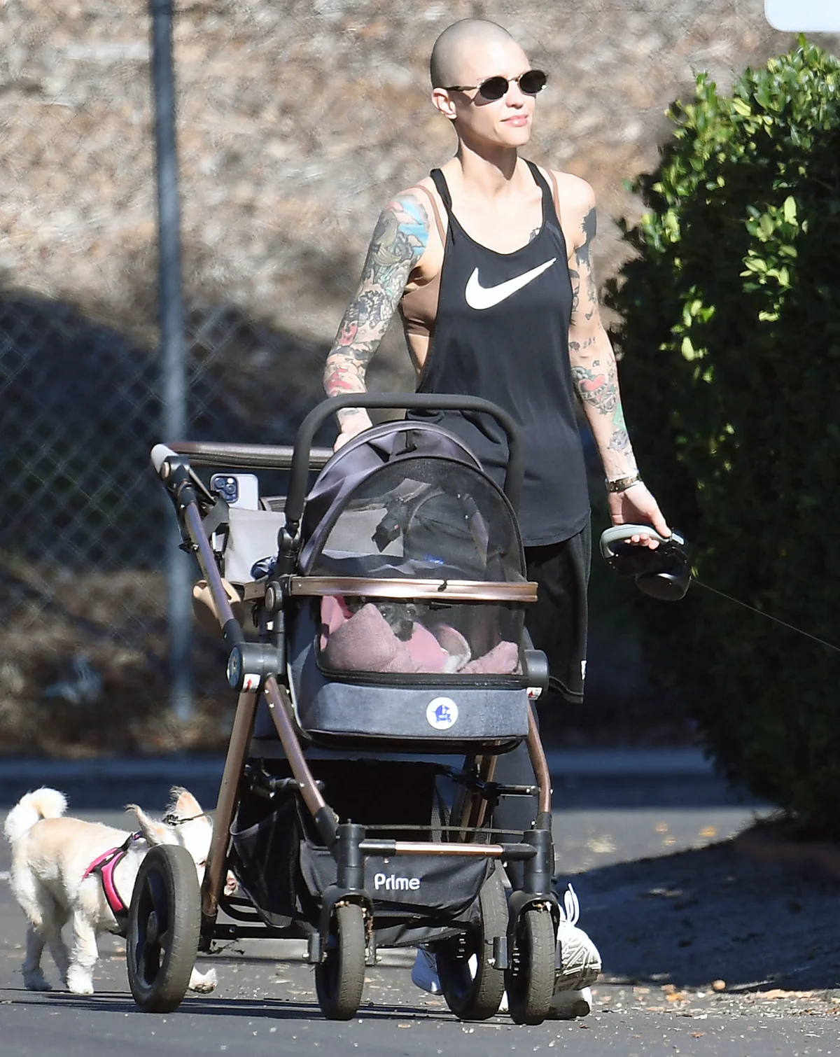 2025年12月、犬の散歩をしているときにパパラッチされたルビー・ローズ