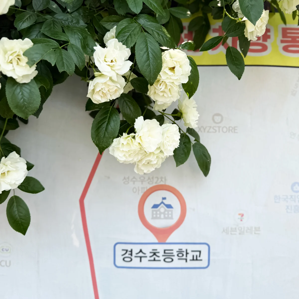 【韓国土産】ソウル旅（10年ぶり！）でひの画像_1
