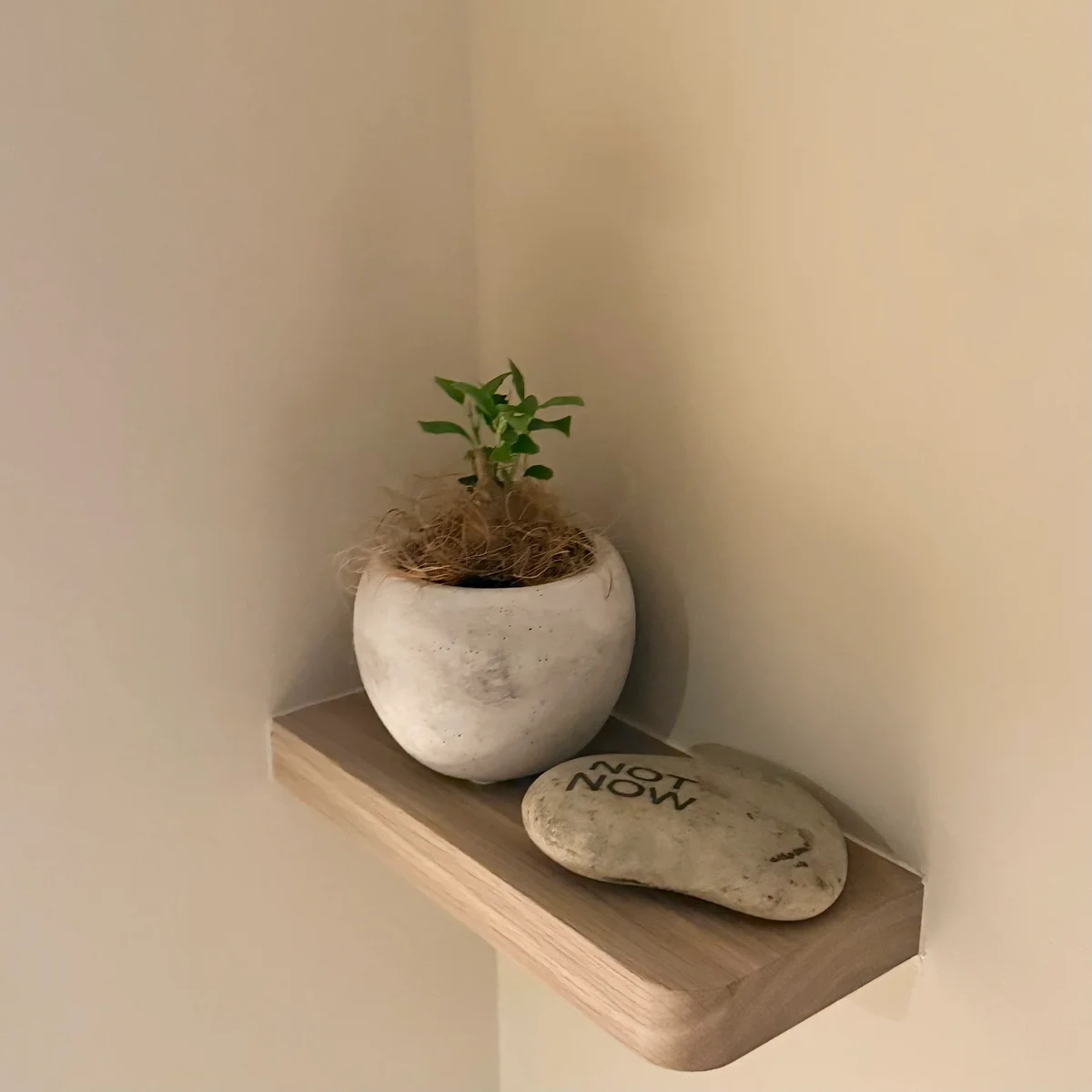 “天空のサンクチュアリ”、サステナブルとの画像_3