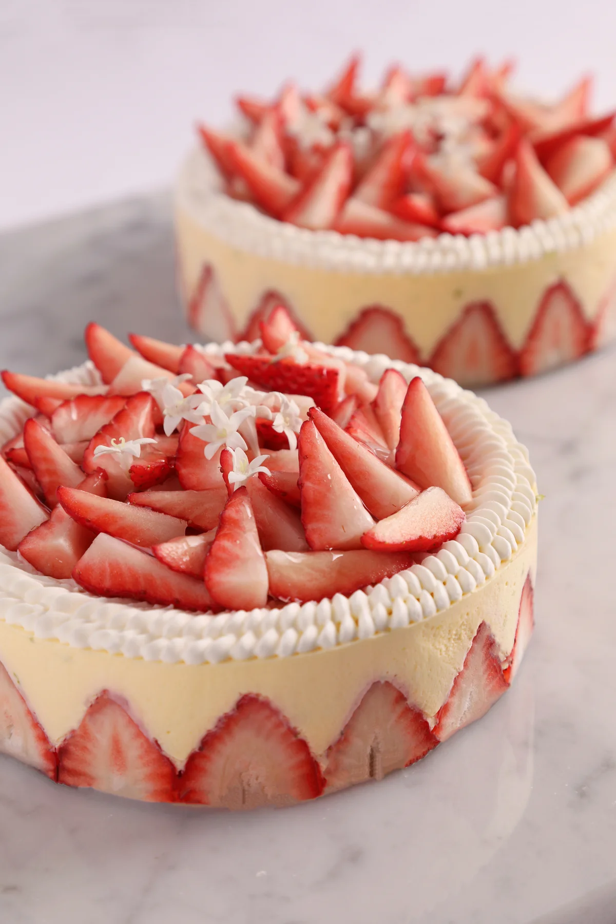 世界のトップパティシエ、ニナ・メタイエのの画像_2