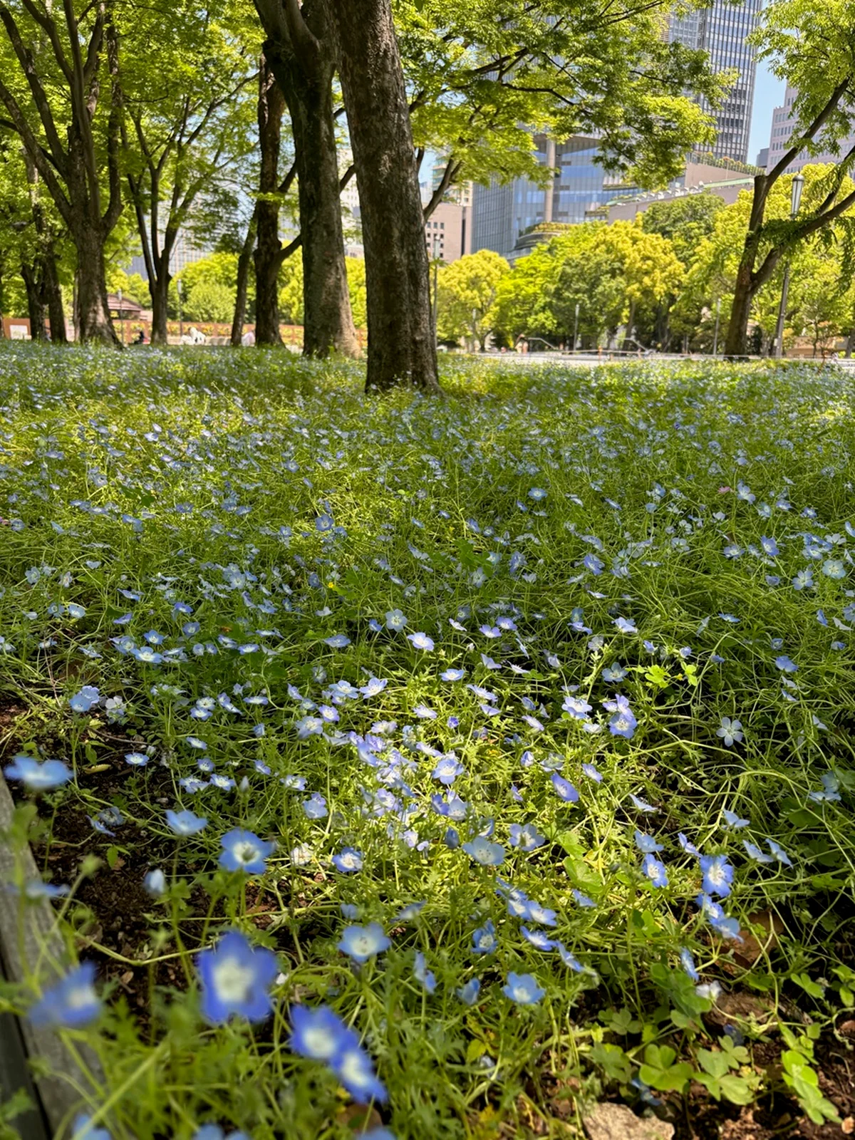 週末は日比谷公園へ！ アートに出合える【の画像_4