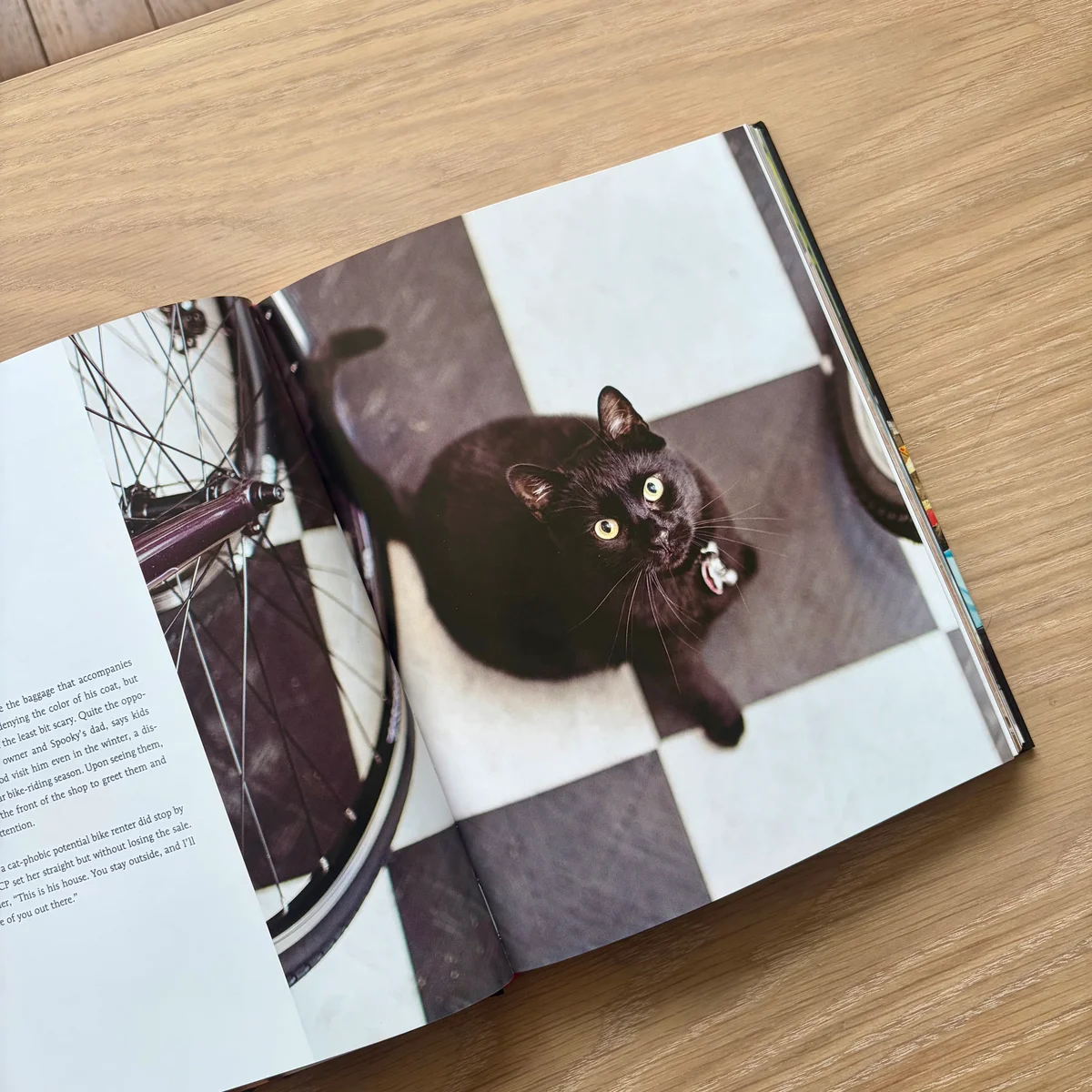 『SHOP CATS OF NEW YORK』のページの画像