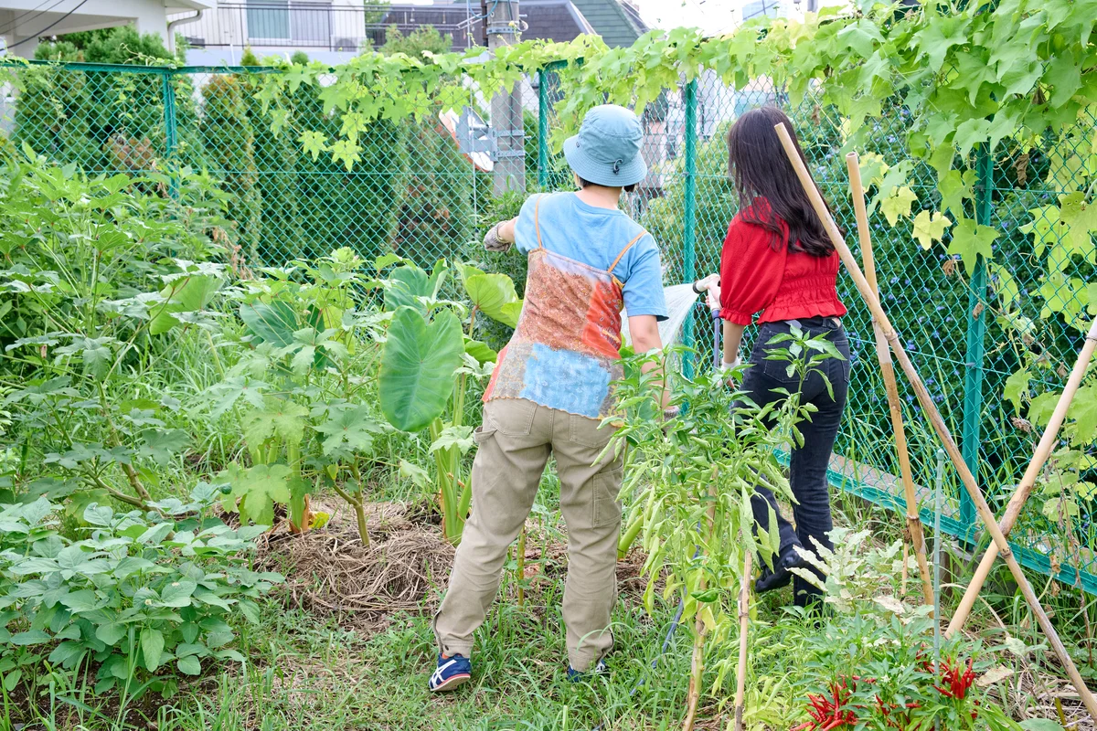 原宿はらっぱファーム