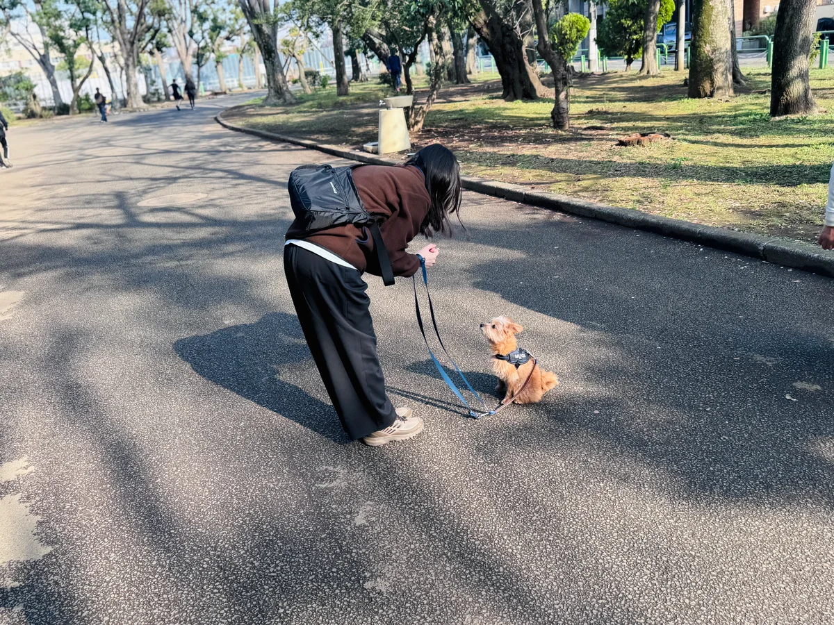 モンベル ポケッタブルライトショルダーの使用例
