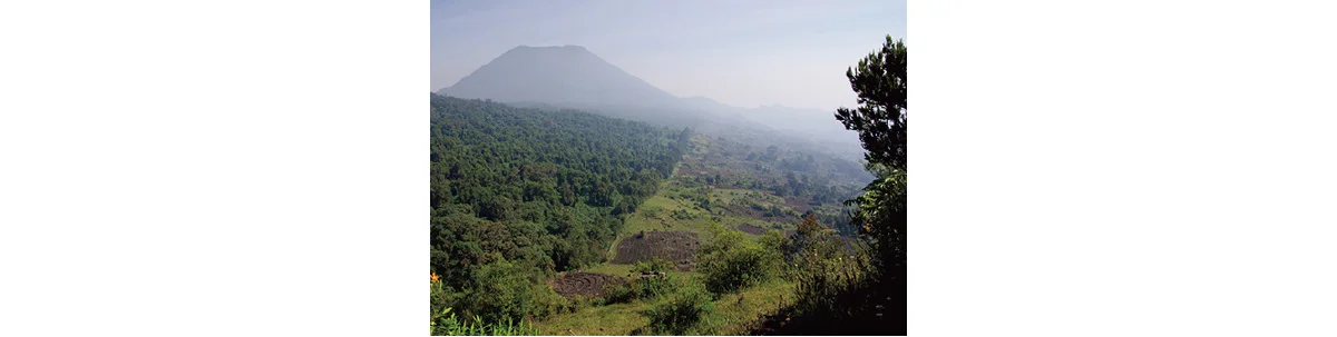 ルワンダの火山国立公園