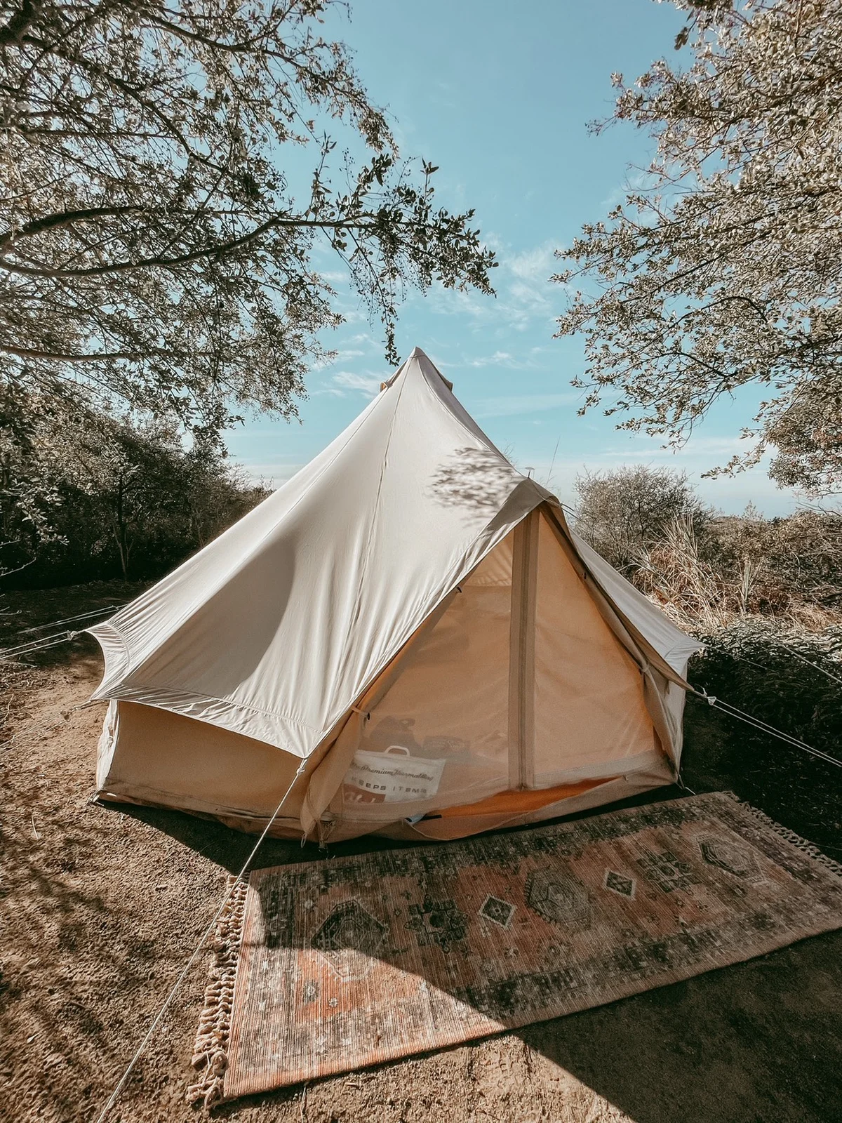 新しい視点を得て、次のエネルギーを生み出の画像_5