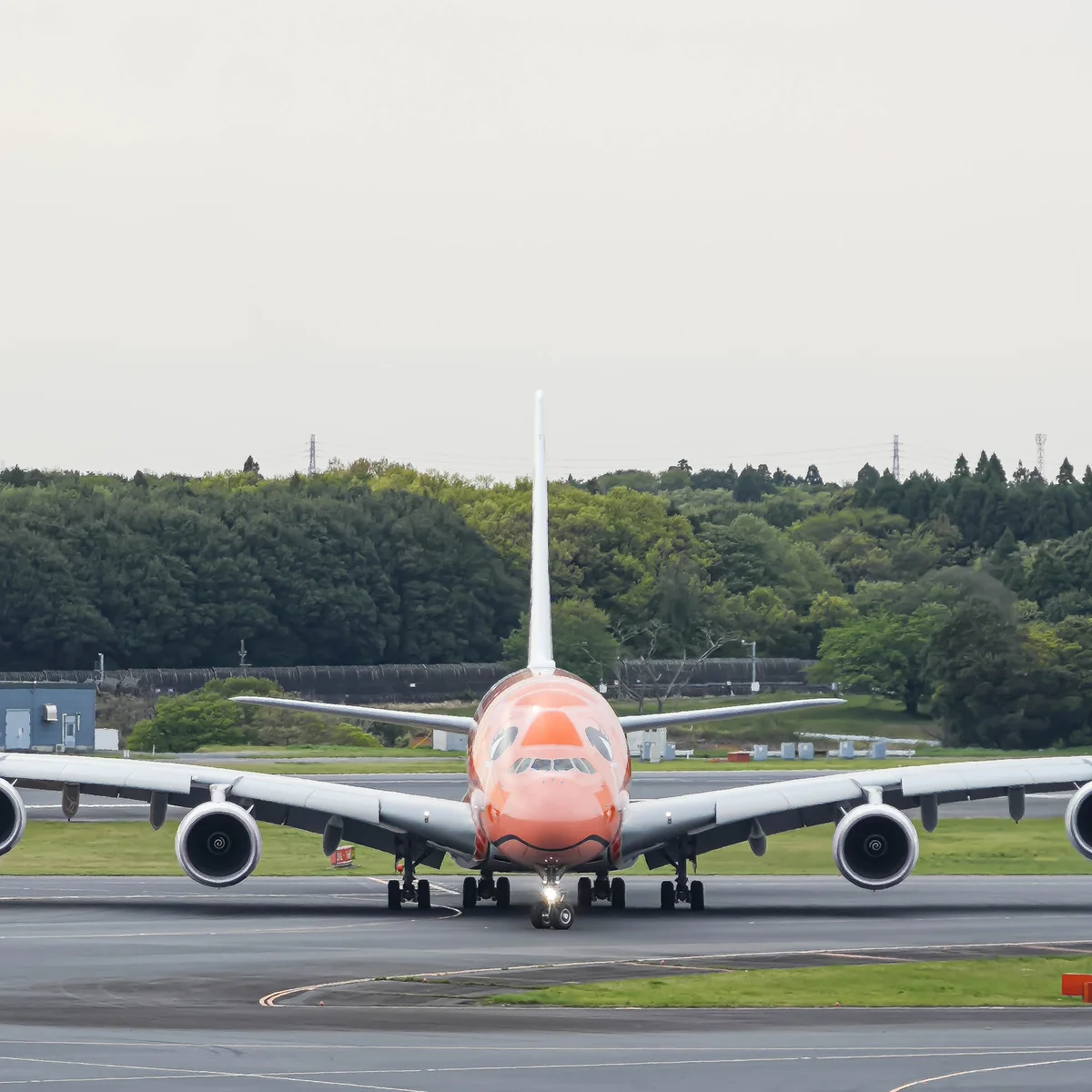 成田空港第１ターミナル５階の展望デッキから見た、着陸後のフライングホヌ正面