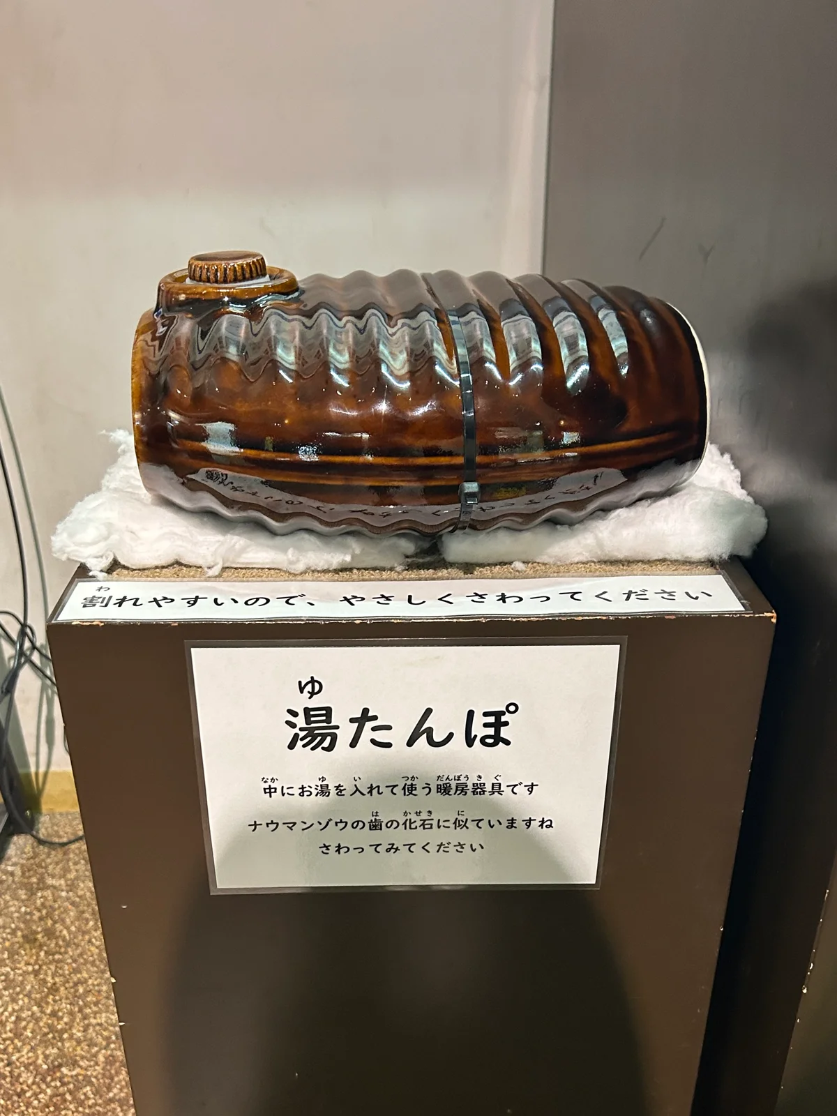 突然の湯たんぽ