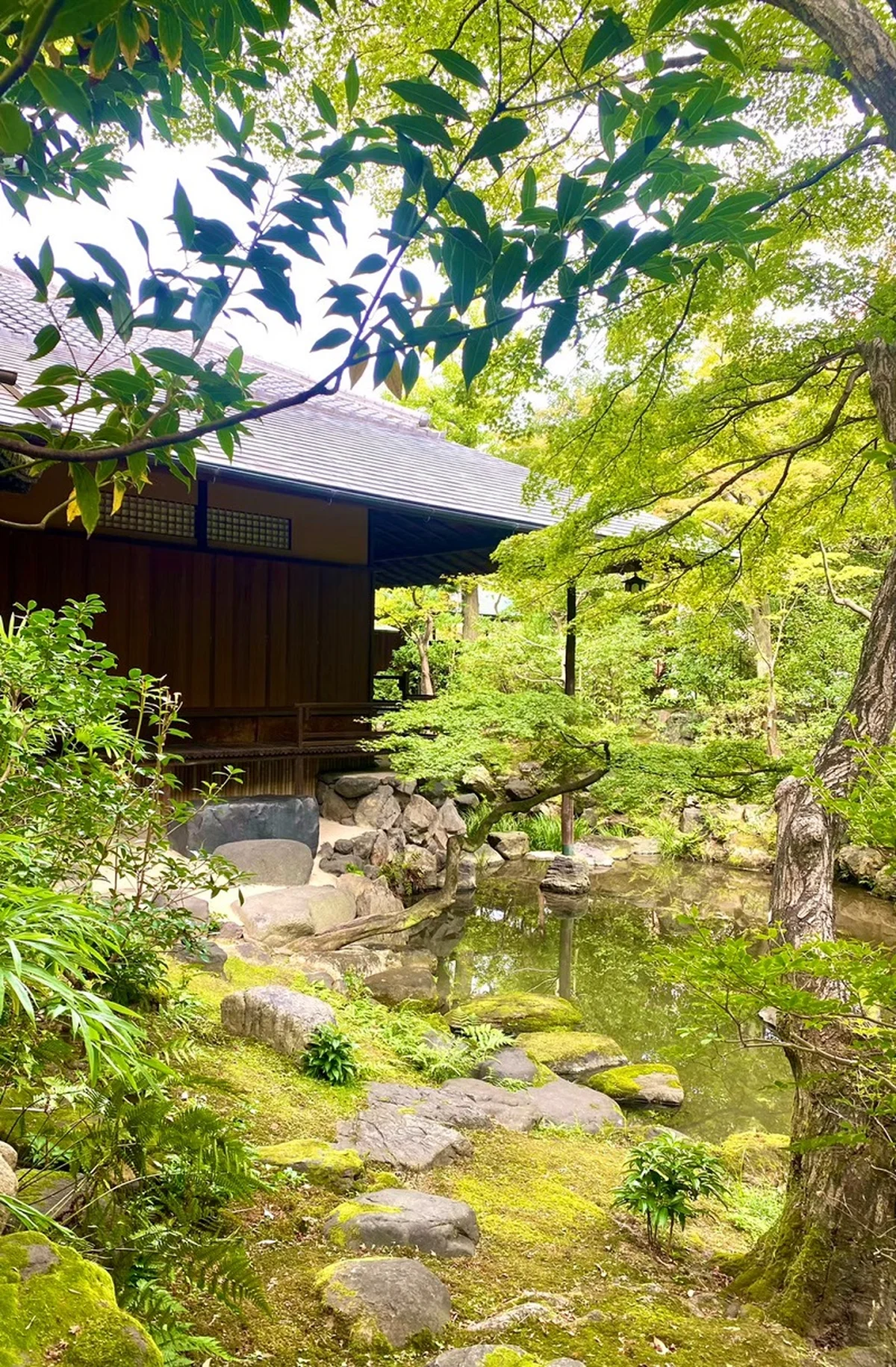 「廣誠院」の敷地に一歩足を踏み入れると、京都の街中だとは思えない静寂に包まれた空間