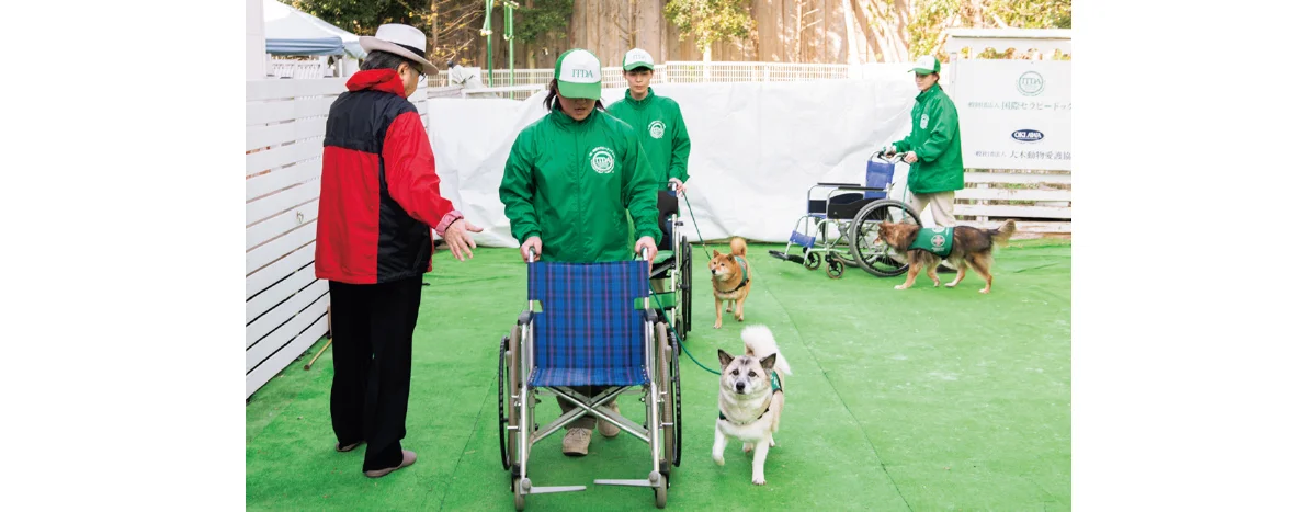 捨て犬が優秀なセラピードッグに。動物介在の画像_5