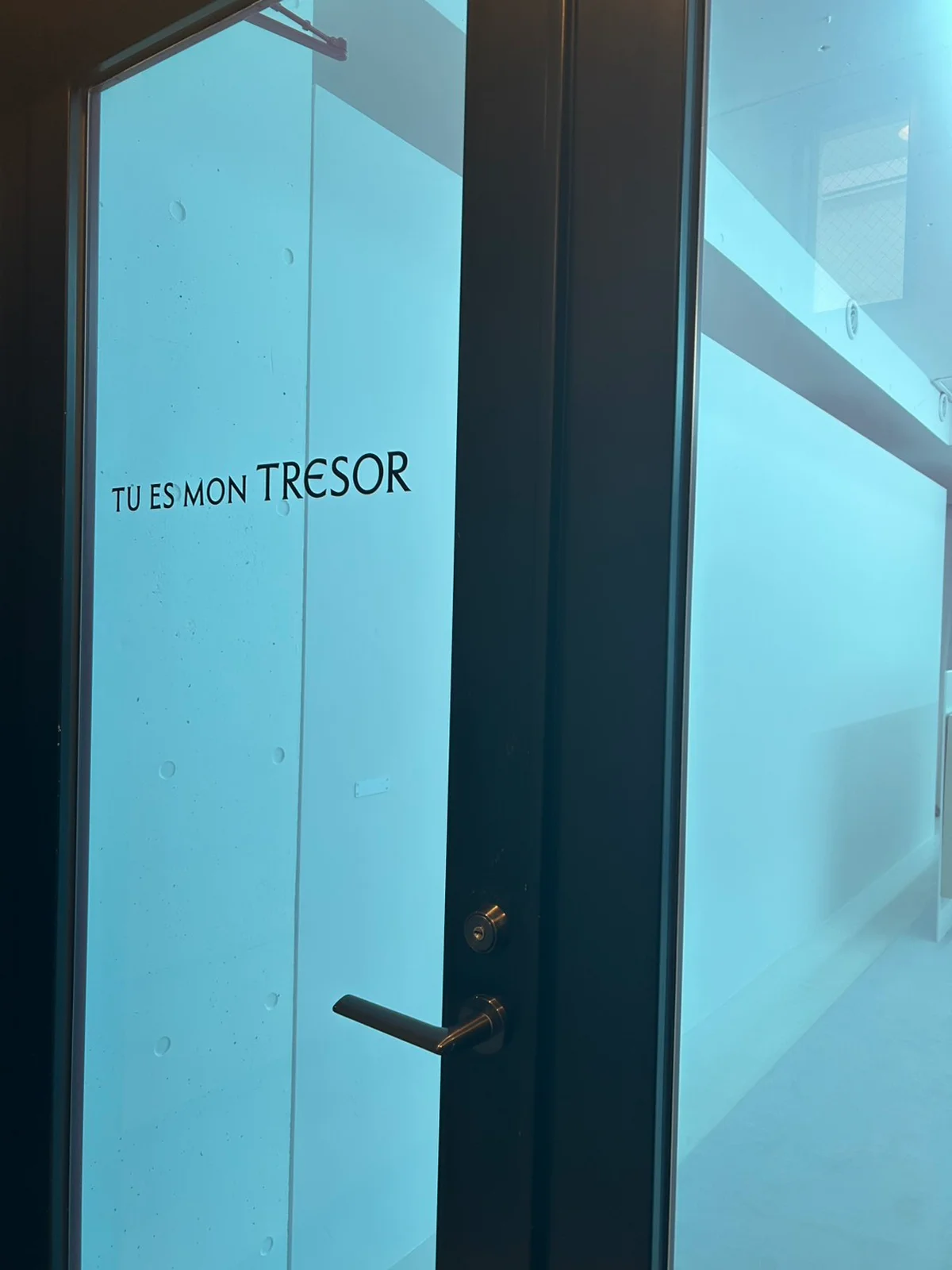 トゥ エ モン トレゾア　デニム