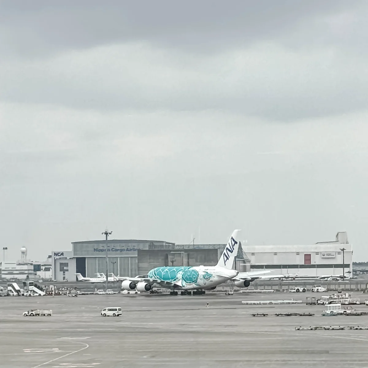 成田空港に駐機中のANAフライングホヌ機