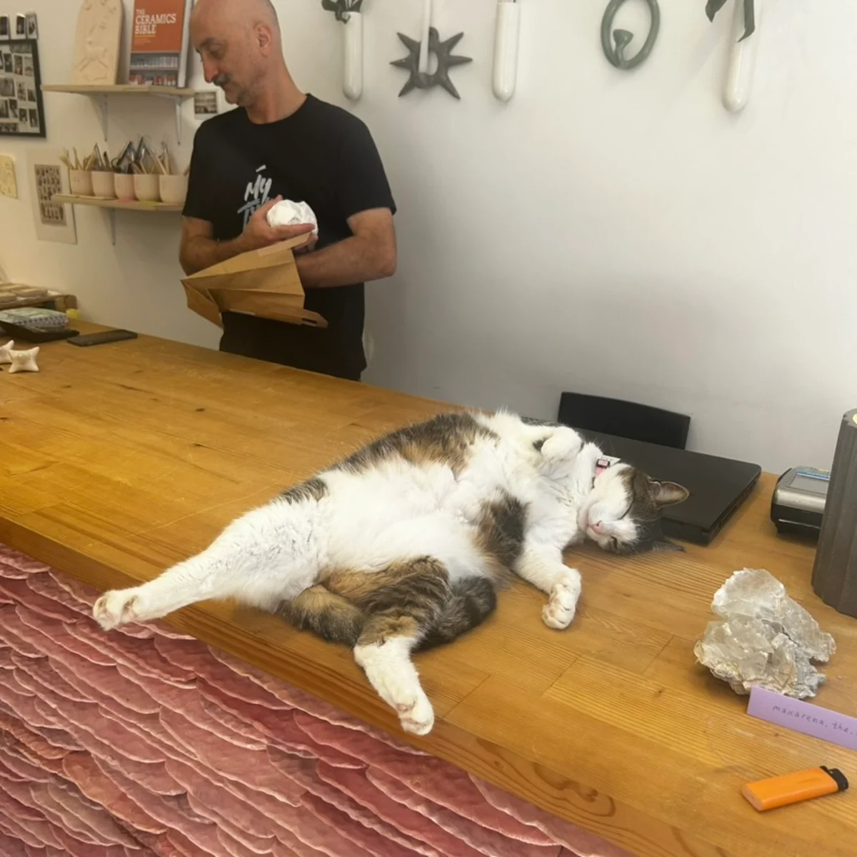 トビリシのギャラリーの猫の画像