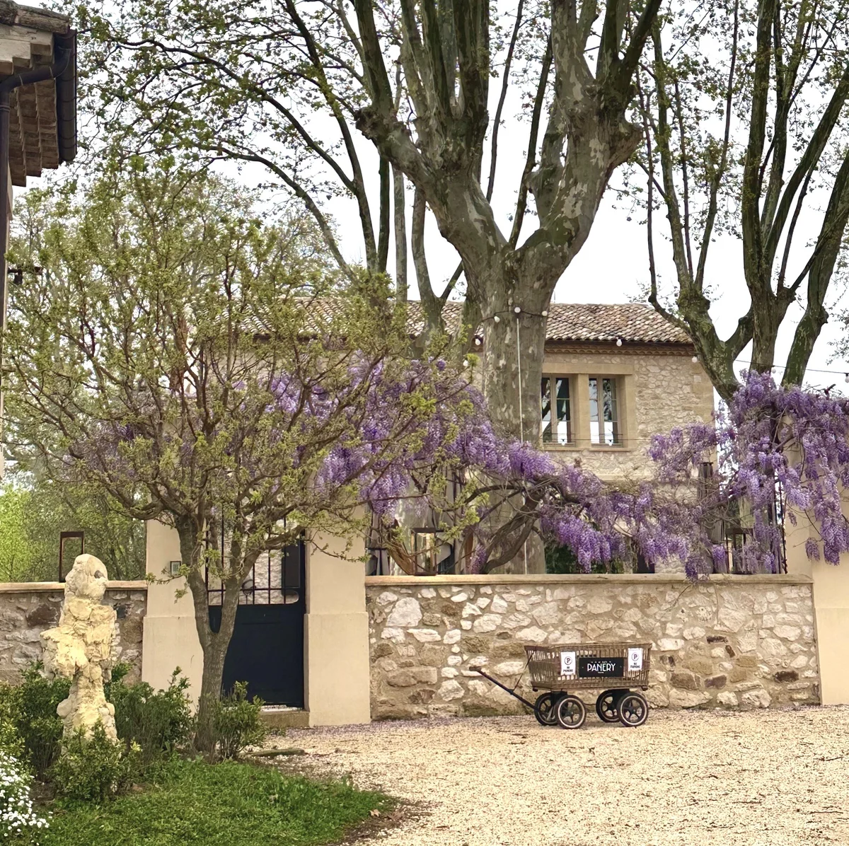 南仏の自然に囲まれた環境で見る、二つのアの画像_12