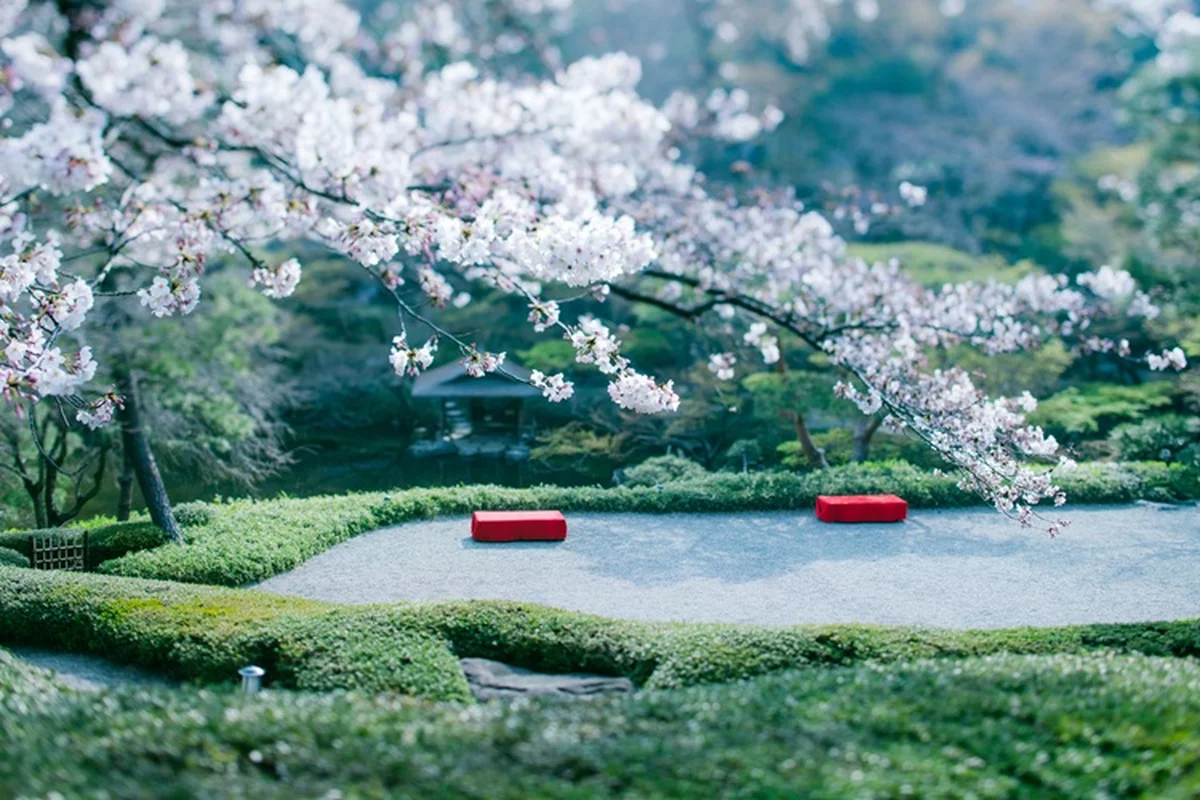 八芳園。訪れる季節によって見せる表情が移り変わる優美な庭園