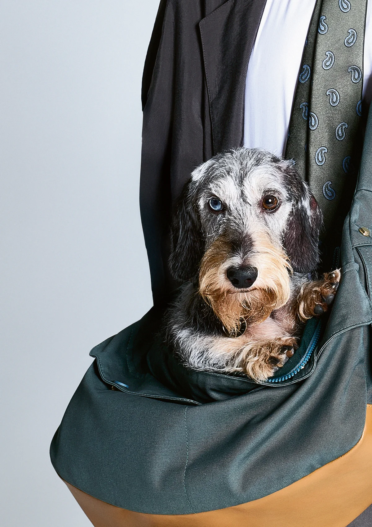 【ジョルジオ アルマーニ】と【ポルド ドの画像_5