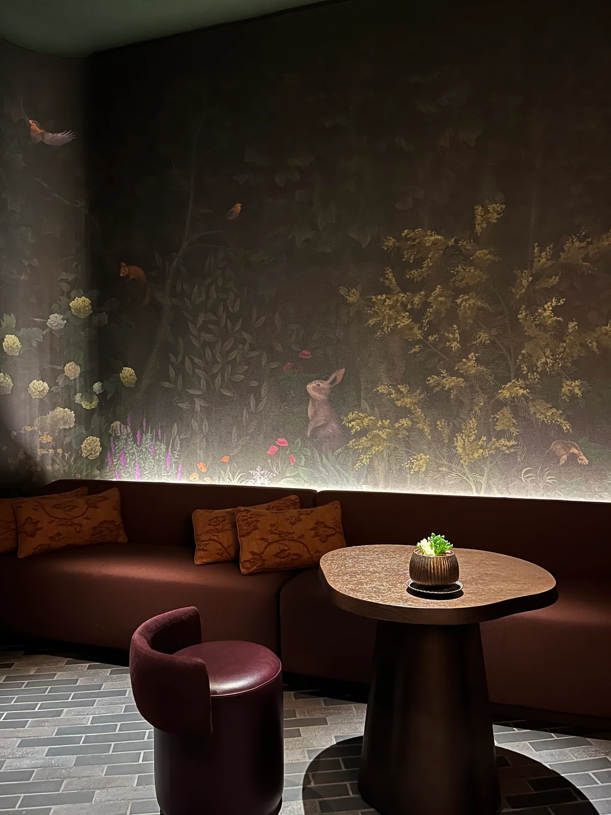 世界的シェフ、アグスティン・バルビが監修の画像_3