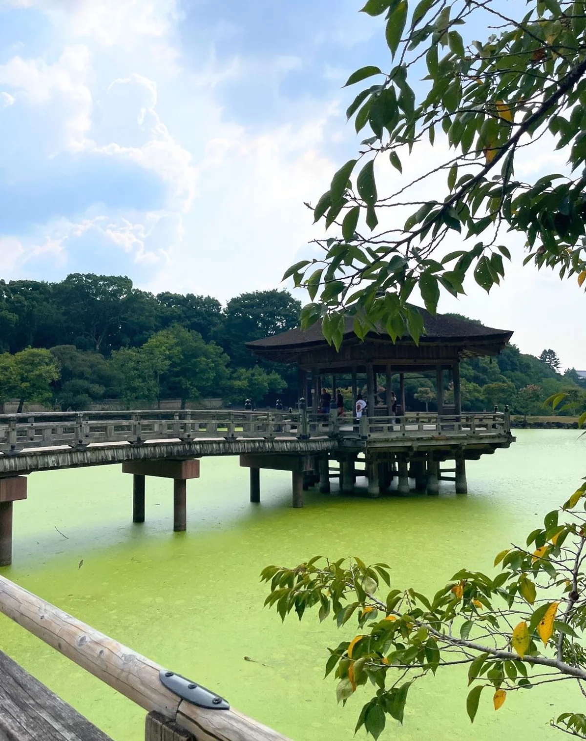 奈良・開運旅【ふふ奈良】奈良公園の浮見堂でブレイク